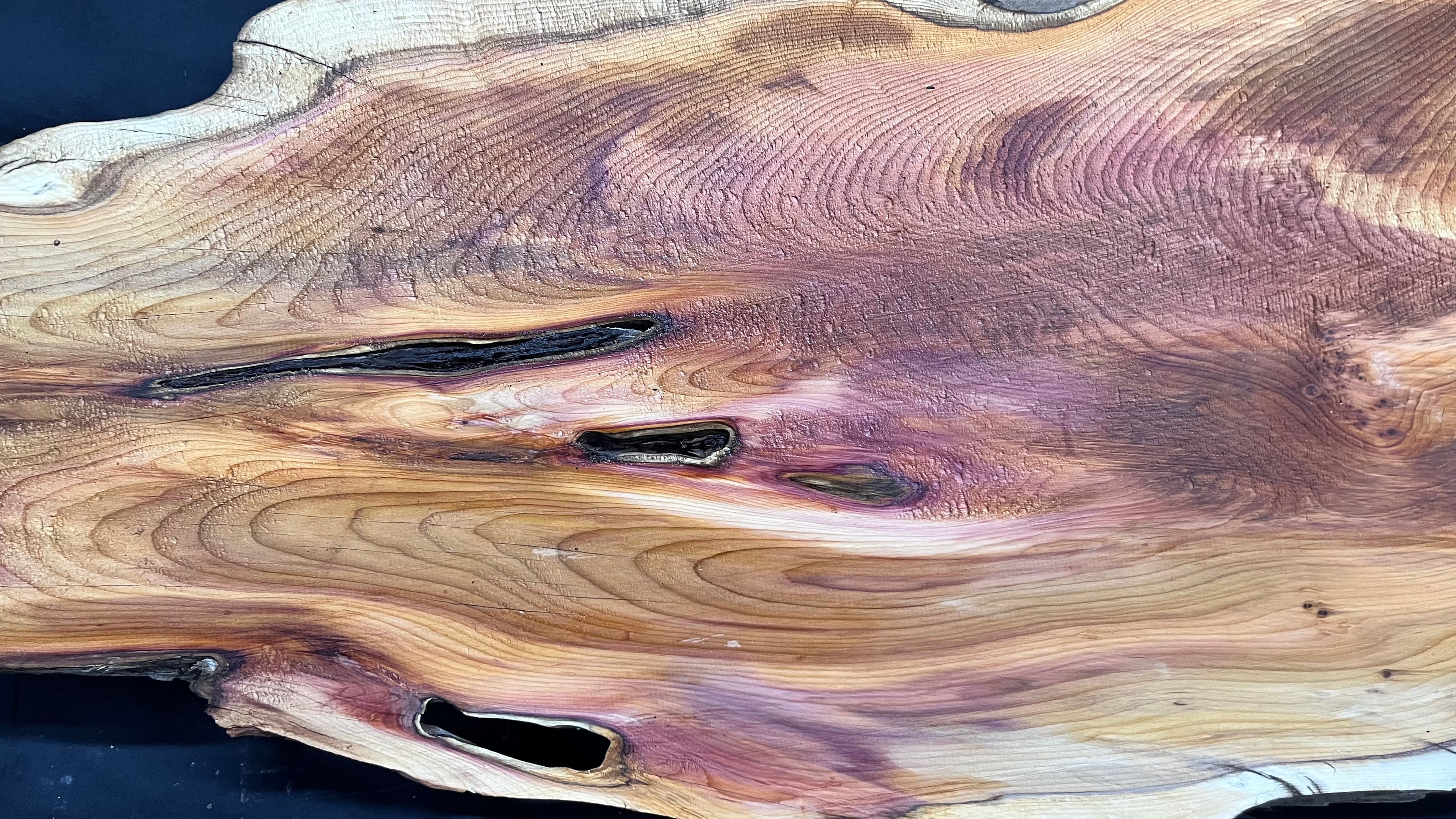 Hardwood yew, coffee table, slab, board, shelf 1126 L x 610 W x 46 D mm    (386)