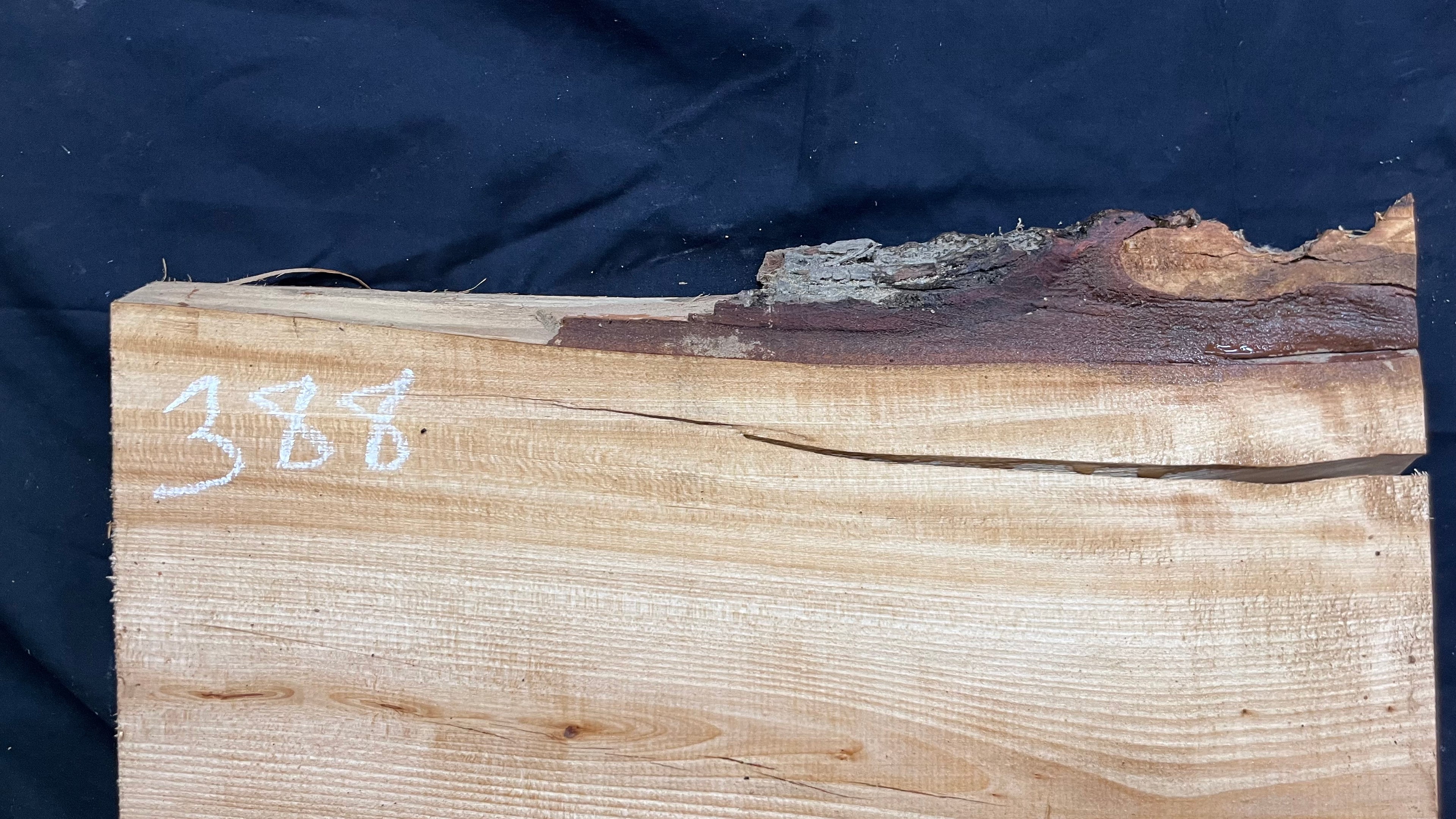 Lime Wood for carving, shelving, plank  487 L x 415 W x 42 D mm (388)