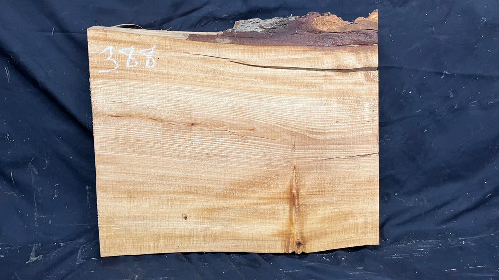 Lime Wood for carving, shelving, plank  487 L x 415 W x 42 D mm (388)