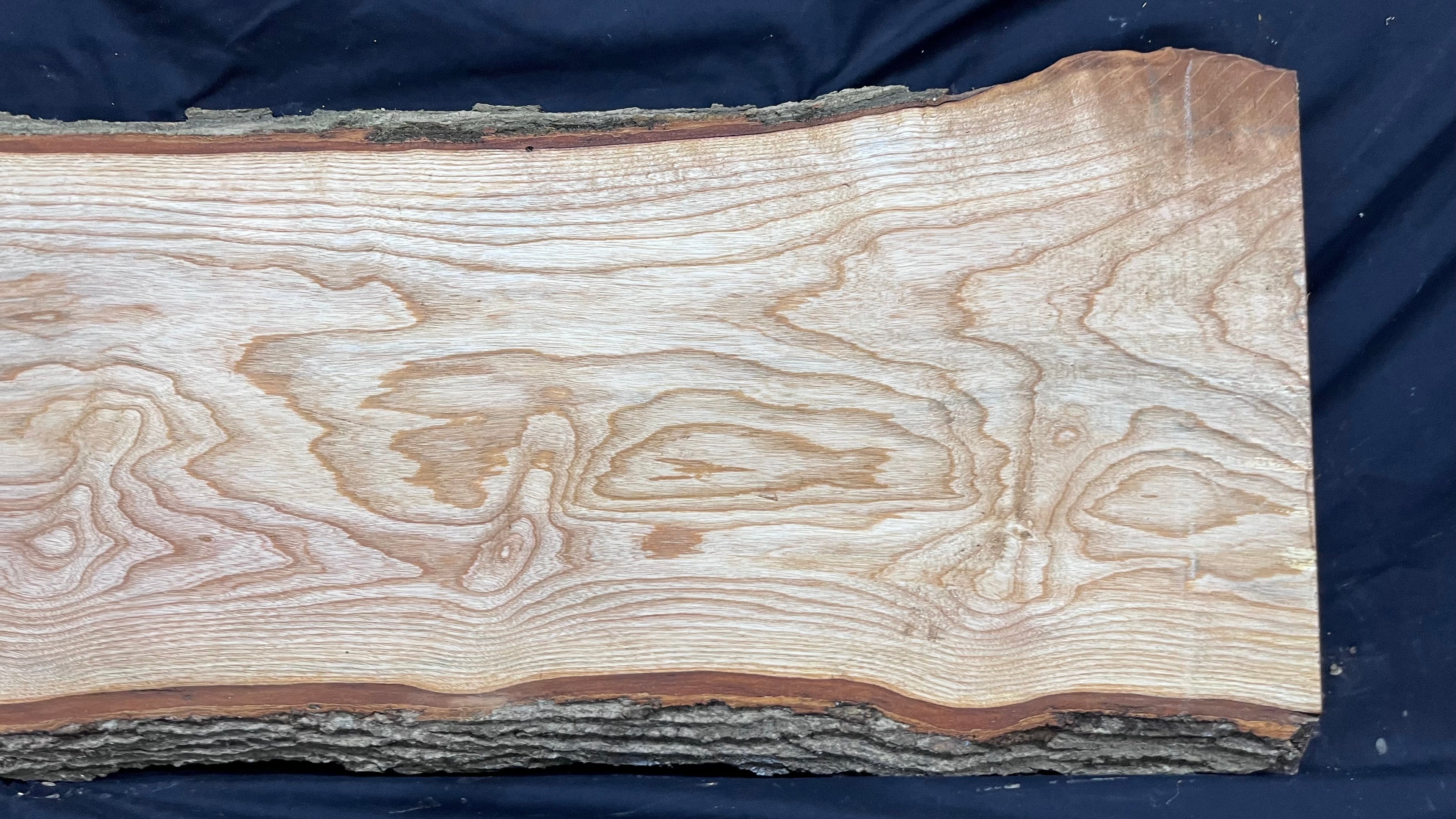 Ash hardwood, coffee table, platter, timber, plank 844 L x 403 W x 40 D mm     (391)