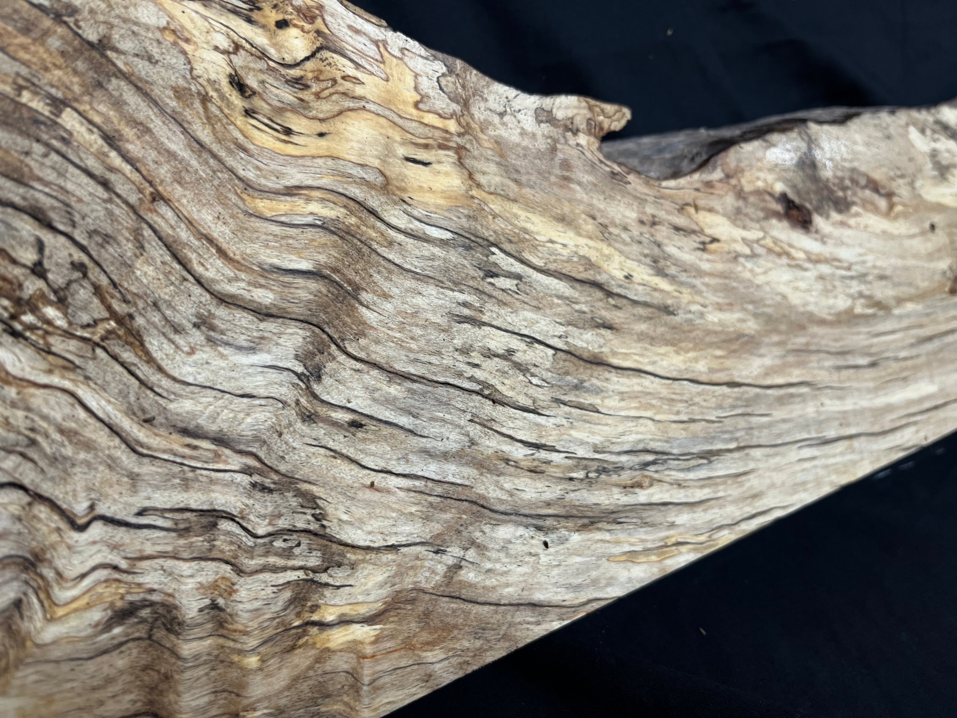 Hornbeam mantle, chunky Plank 1258 L x 237 W x 52 D mm   (263)