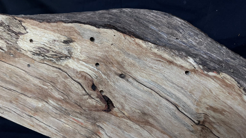 Hornbeam mantle, chunky Plank 1258 L x 237 W x 52 D mm   (263)
