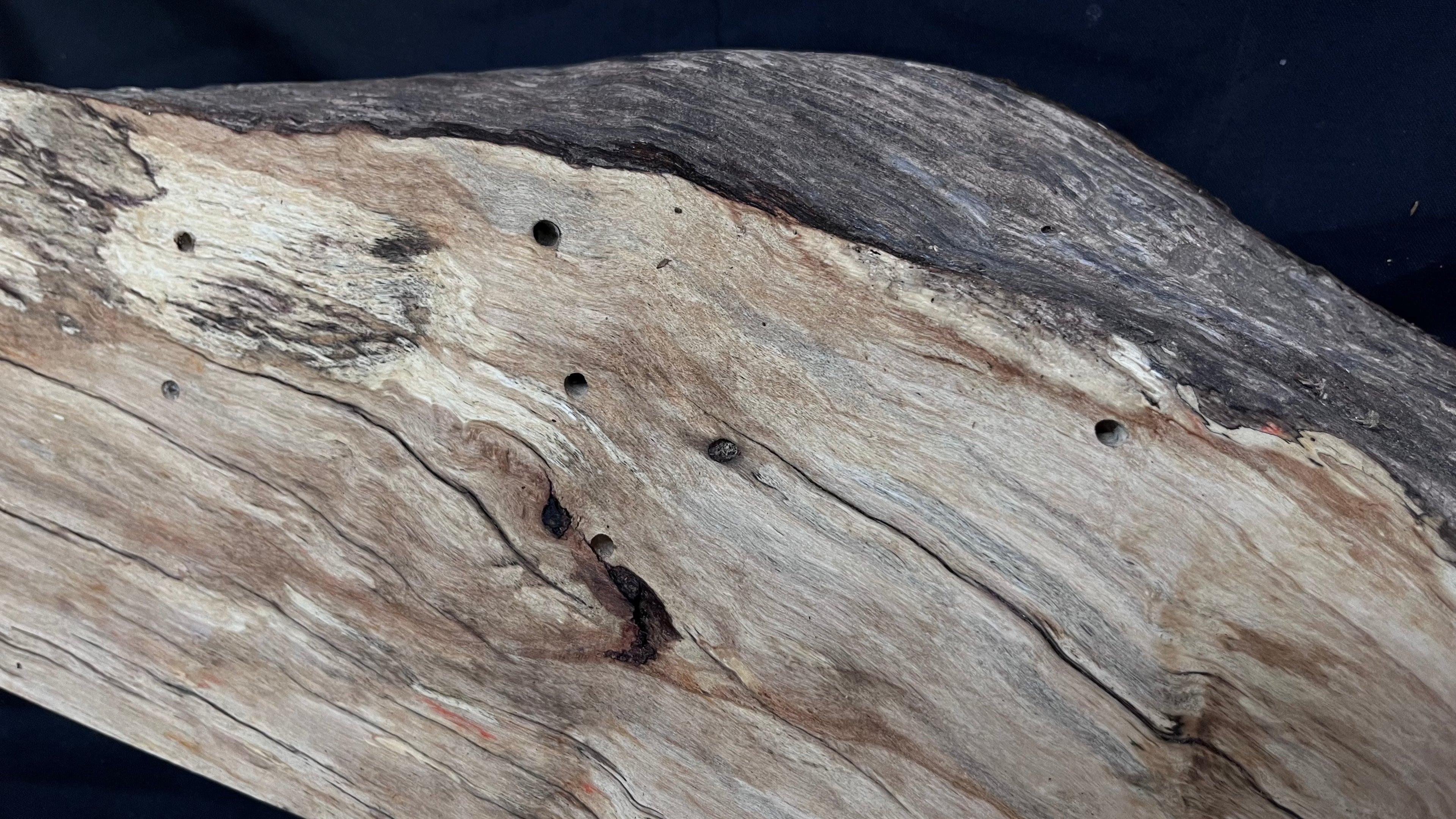 Hornbeam mantle, chunky Plank 1258 L x 237 W x 52 D mm   (263)