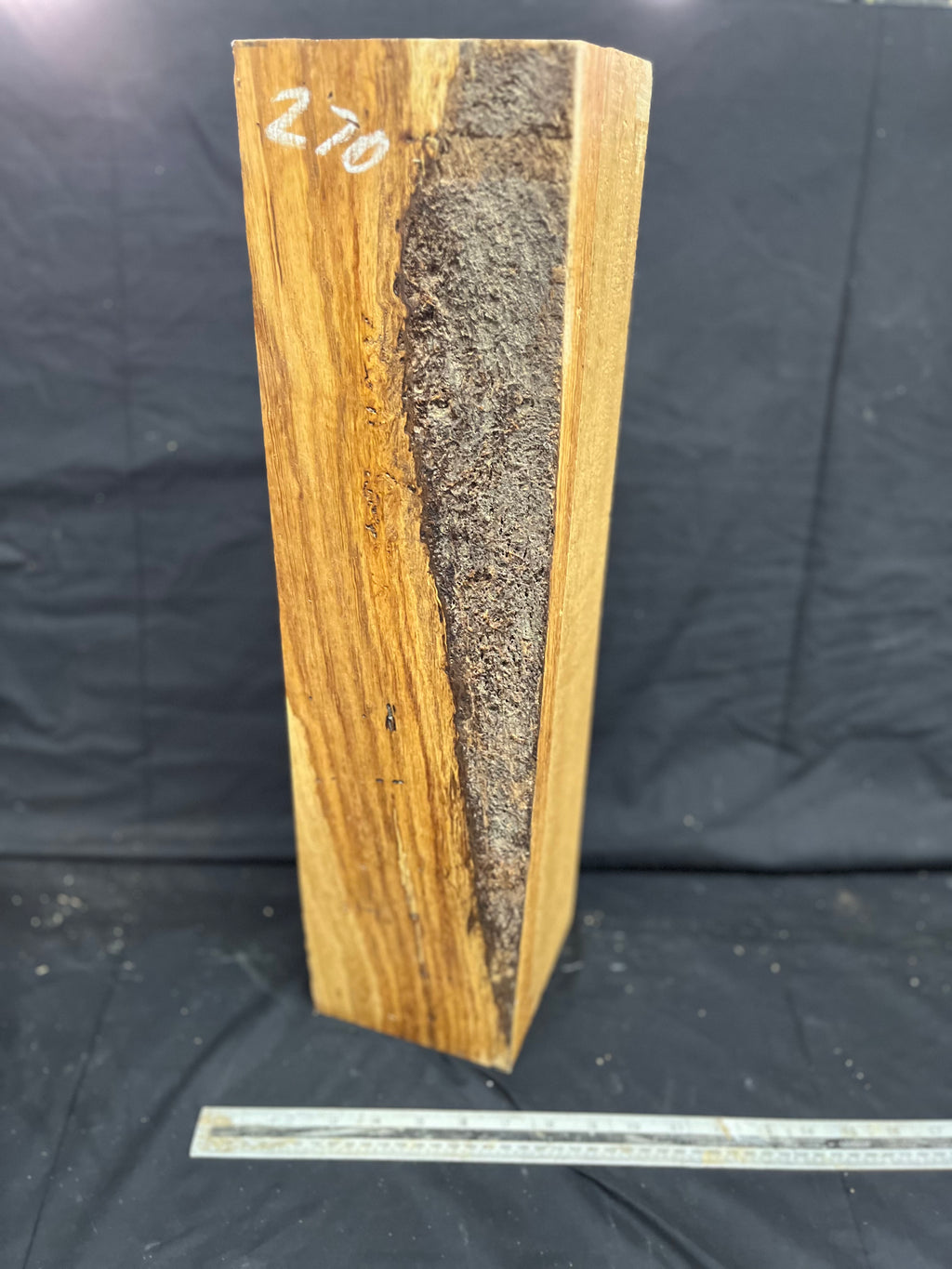 Green oak block, plinth, mantle, carving blank 547 L x 145 W x 140 D mm (270)