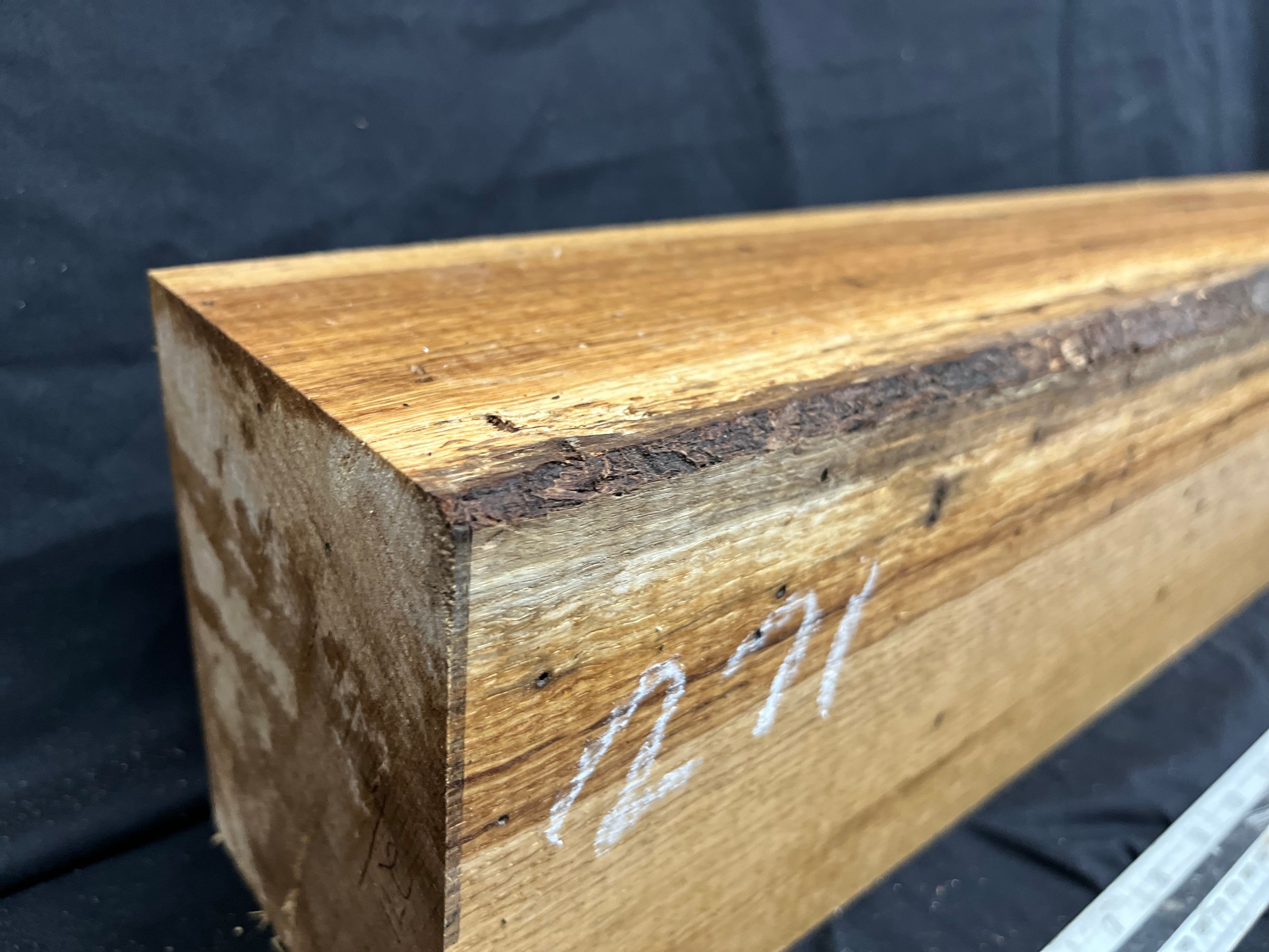 Green oak block, plinth, mantle, carving blank 547 L x 145 W x 140 D mm (270)
