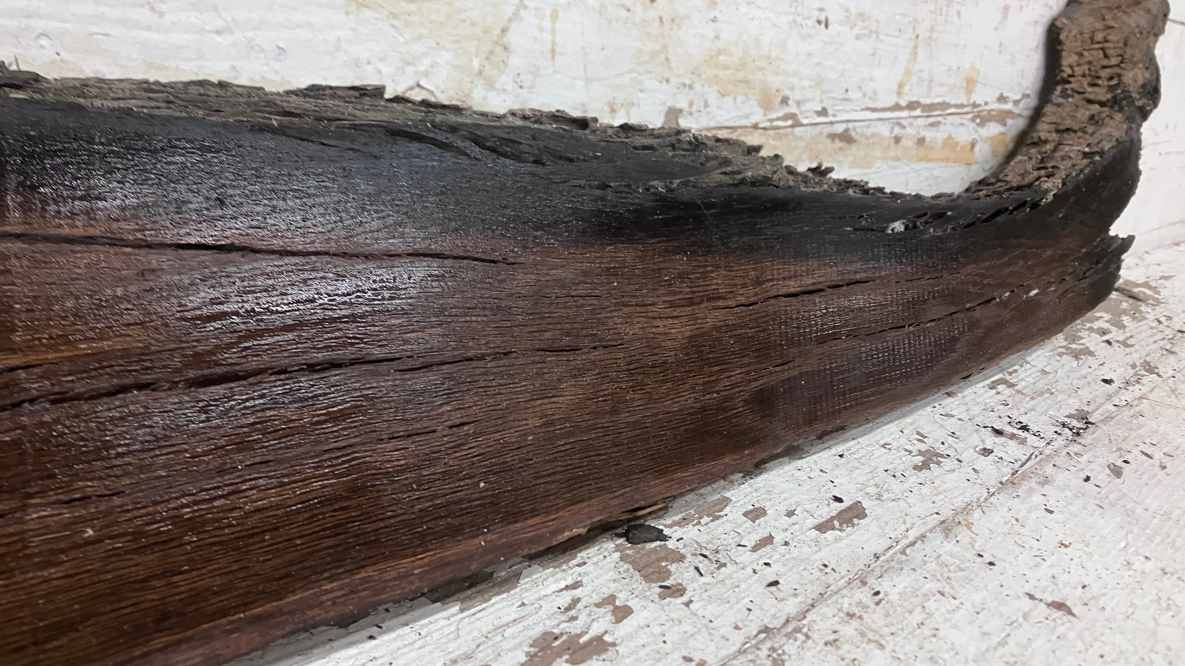 BOG OAK DRY RUSTIC HARDWOOD 735 L x 290 W x 50 D mm (206)