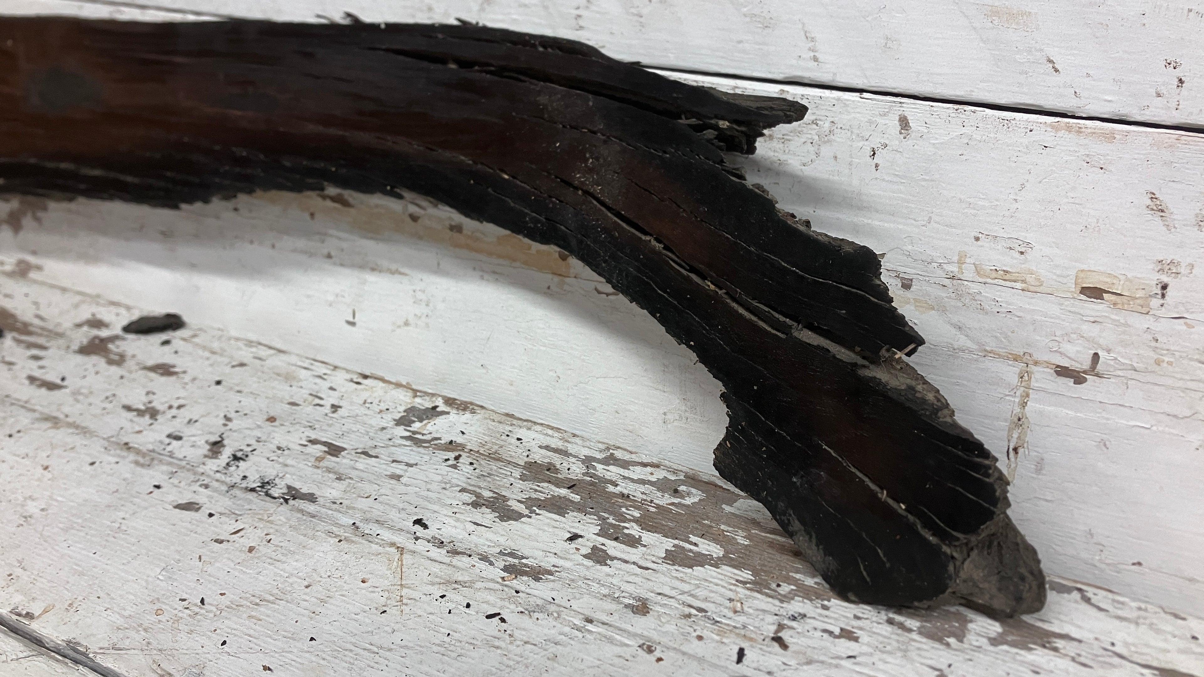 BOG OAK DRY RUSTIC HARDWOOD 735 L x 290 W x 50 D mm (206)