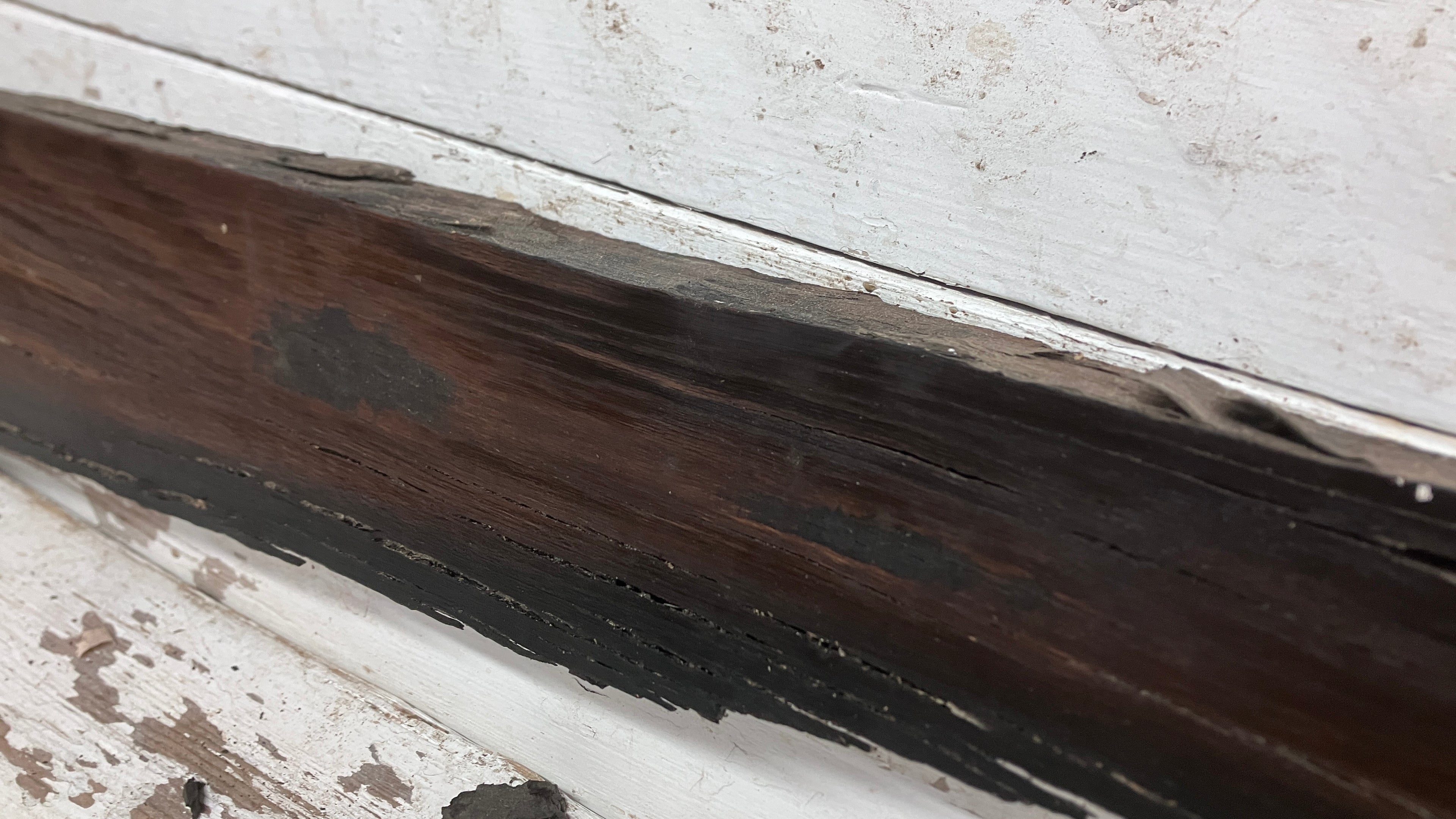 BOG OAK DRY RUSTIC HARDWOOD 735 L x 290 W x 50 D mm (206)
