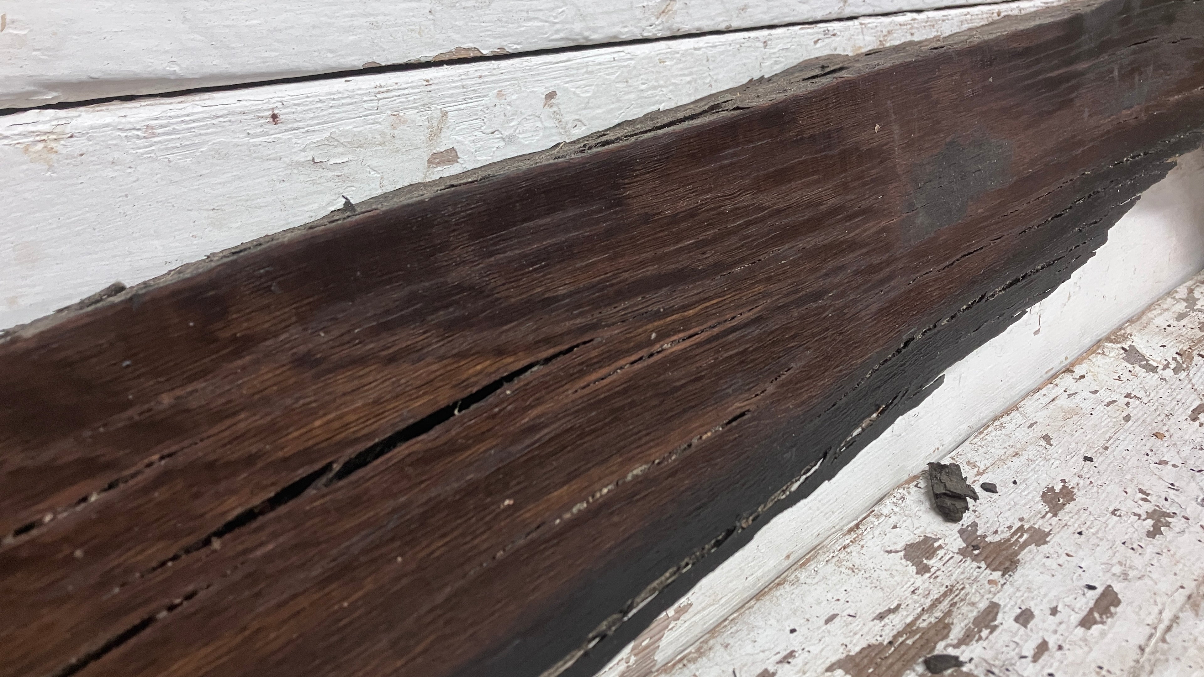 BOG OAK DRY RUSTIC HARDWOOD 735 L x 290 W x 50 D mm (206)