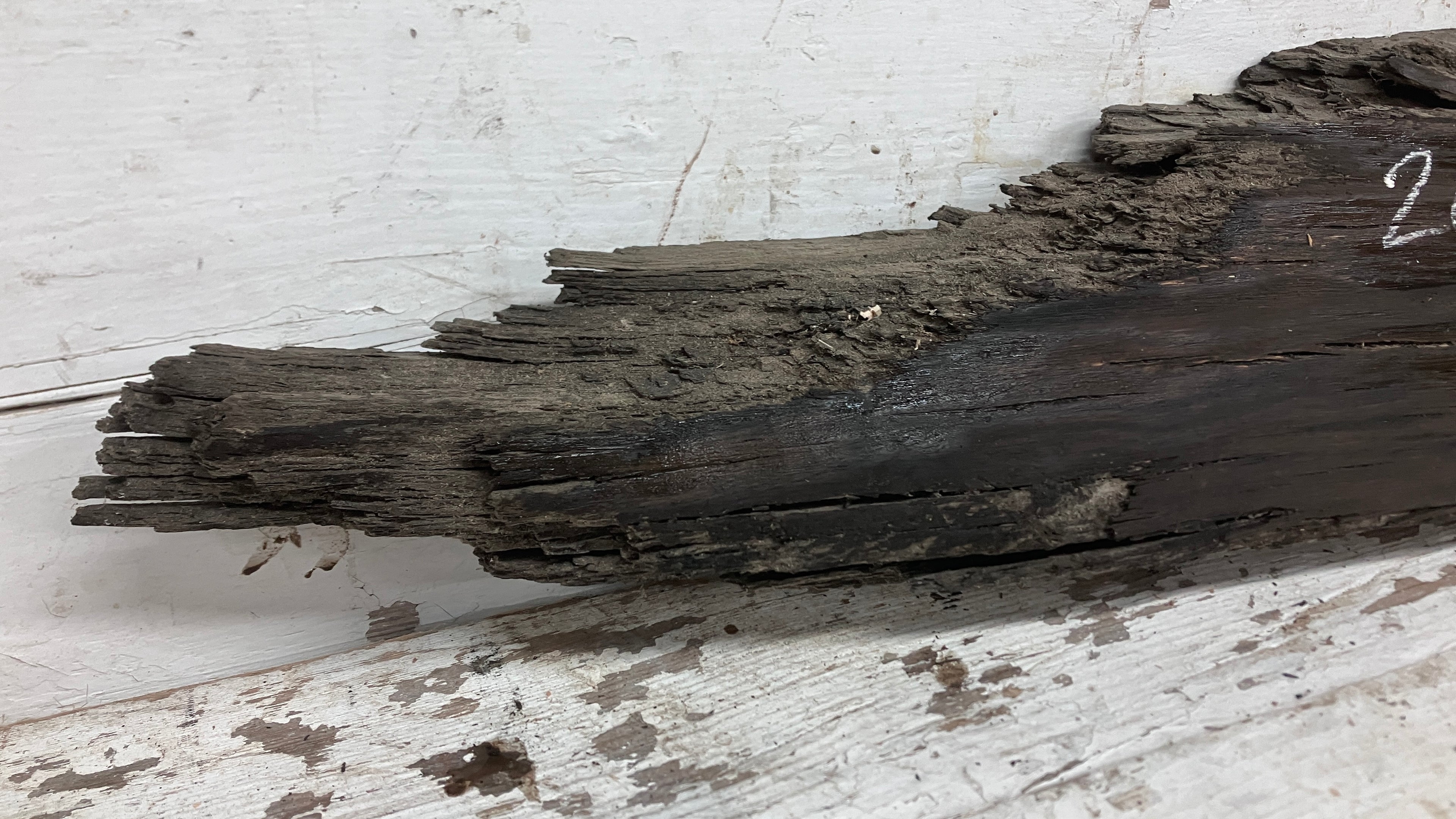 BOG OAK DRY RUSTIC HARDWOOD 882 L x 239 W x 45 D mm (208)