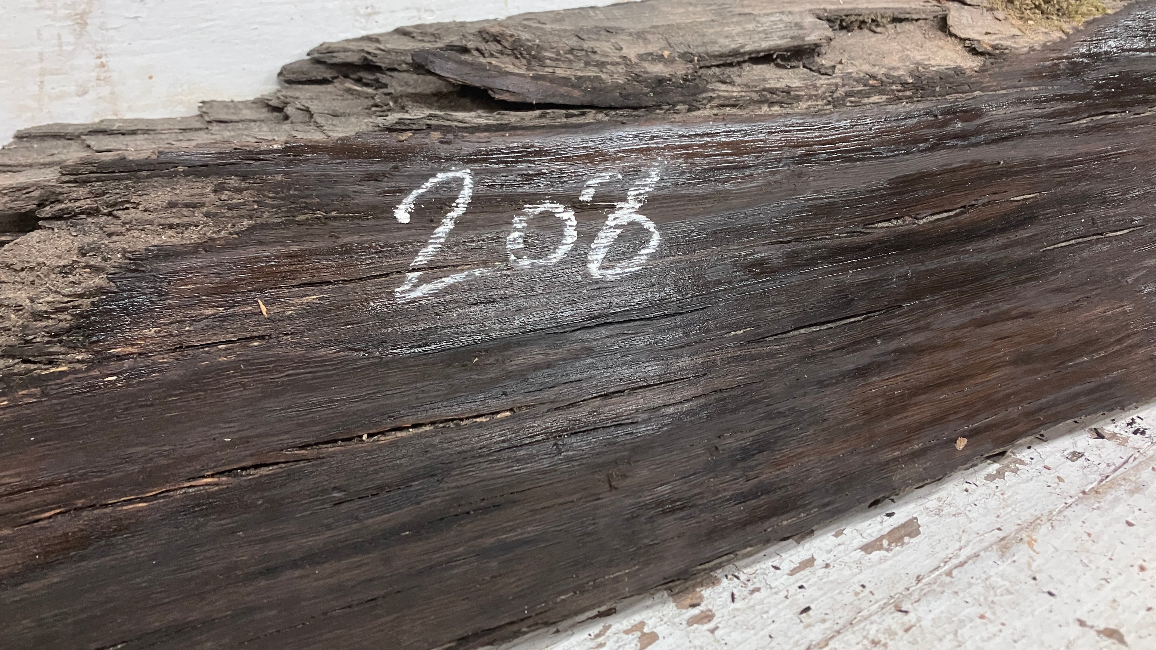 BOG OAK DRY RUSTIC HARDWOOD 882 L x 239 W x 45 D mm (208)