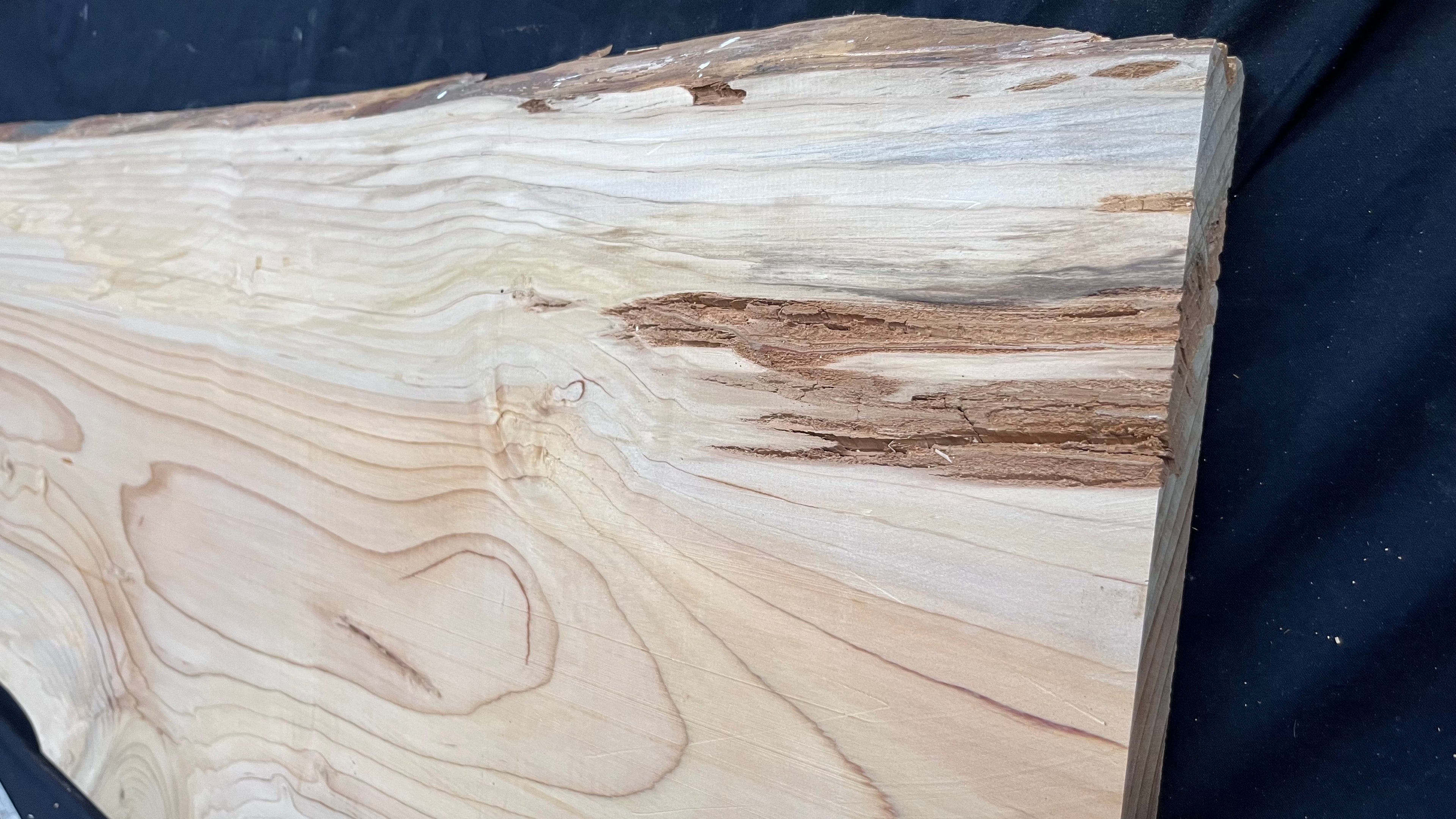 Cedar plank, timber, board. 1107 L x 585 W x 29 D mm  (429mf)