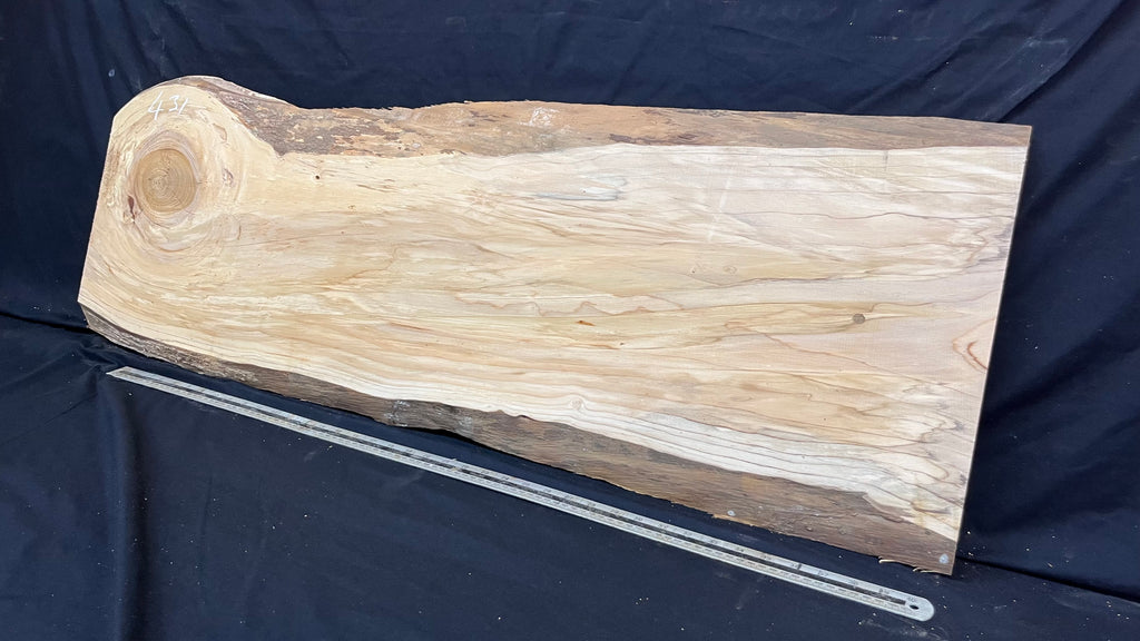Cedar plank, timber, board. 1134 L x 489 W x 29 D mm  (430mf)