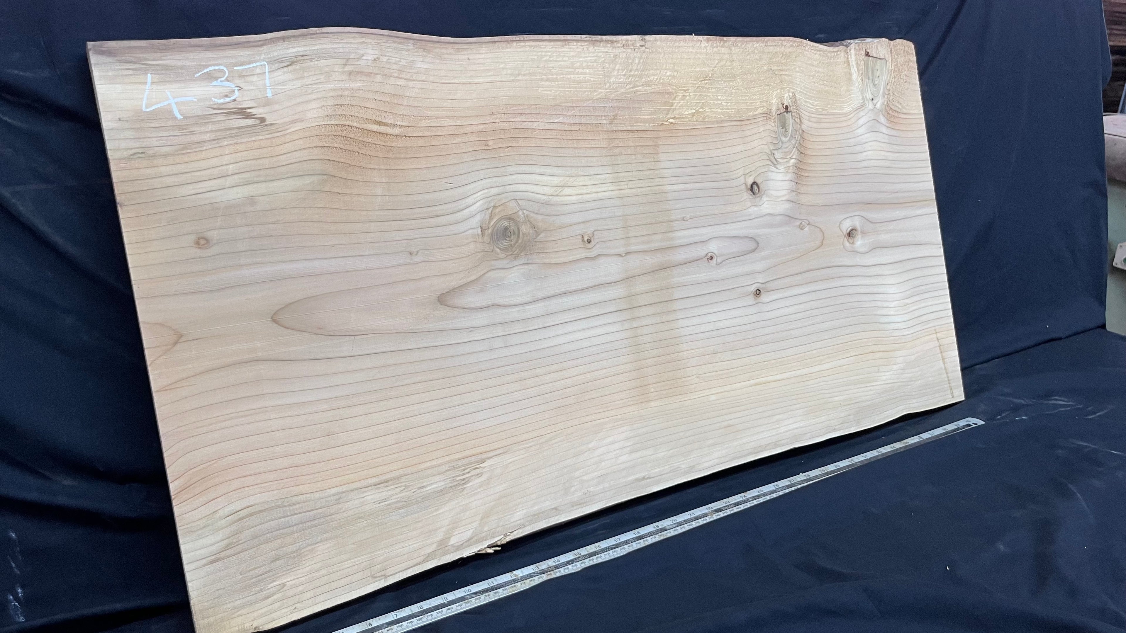 Cedar plank, timber, board, coffee table top. 1039 L x 555 W x 34 D mm  (437mf)
