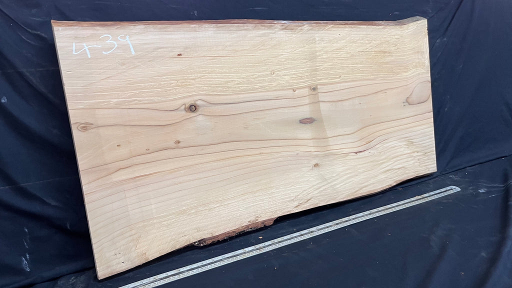 Cedar plank, timber, board, coffee table top. 1021 L x 505 W x 28 D mm  (439mf)