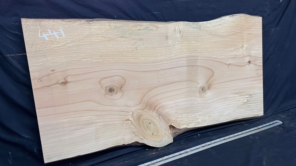 Cedar plank, timber, board, coffee table top. 993 L x 508 W x 29 D mm  (441mf)