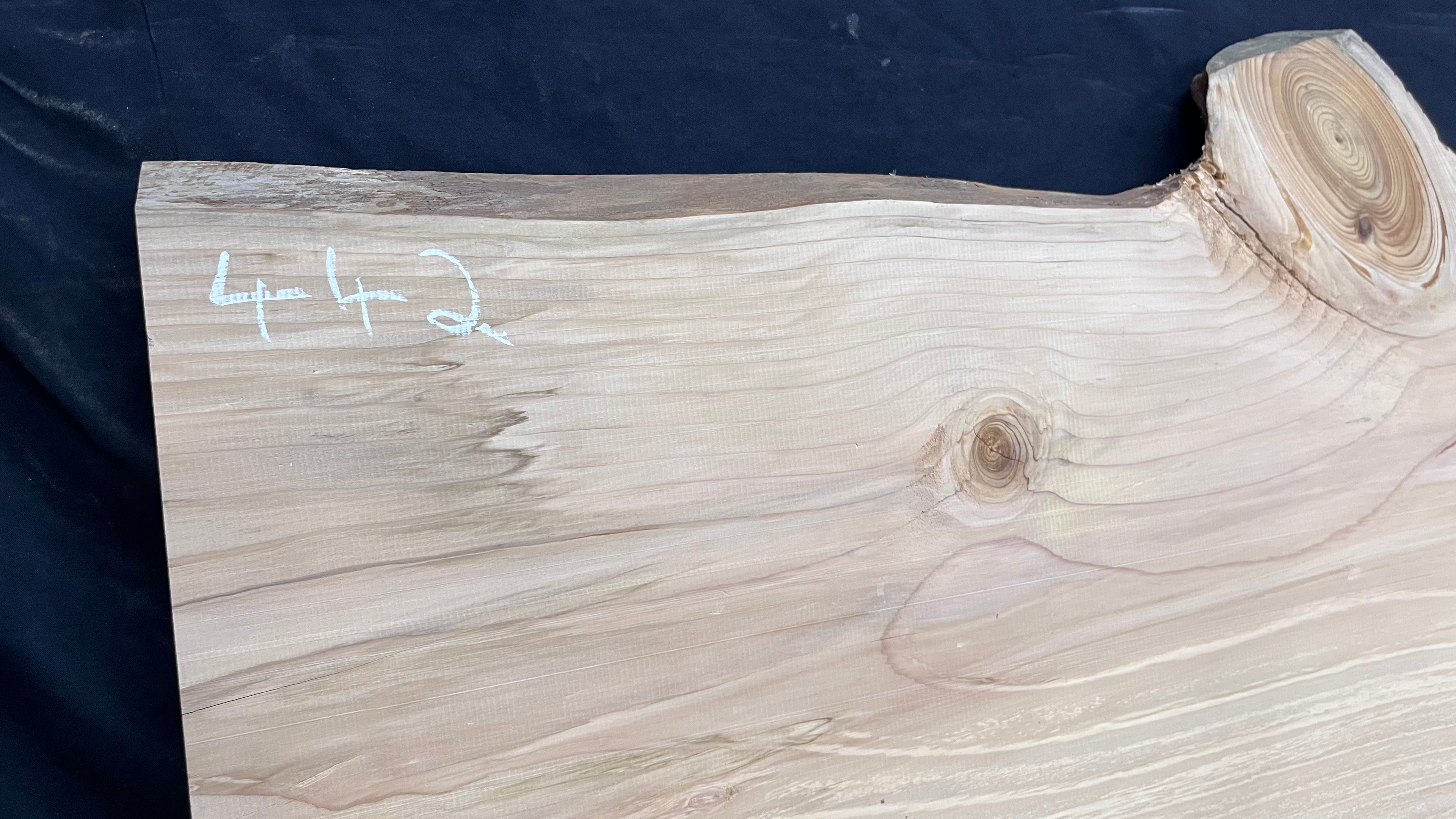 Cedar plank, timber, board, coffee table top. 1080 L x 495 W x 29 D mm  (442mf)