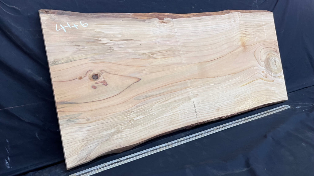 Cedar plank, timber, board, coffee table top. 1059 L x 485 W x 29 D mm  (446mf)