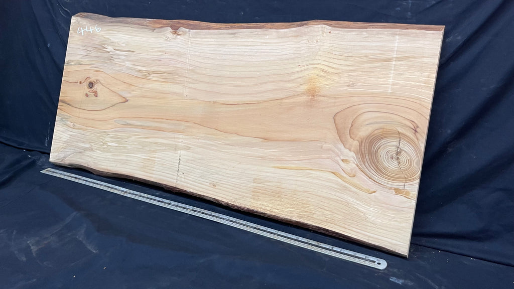 Cedar plank, timber, board, coffee table top. 1059 L x 485 W x 29 D mm  (446mf)