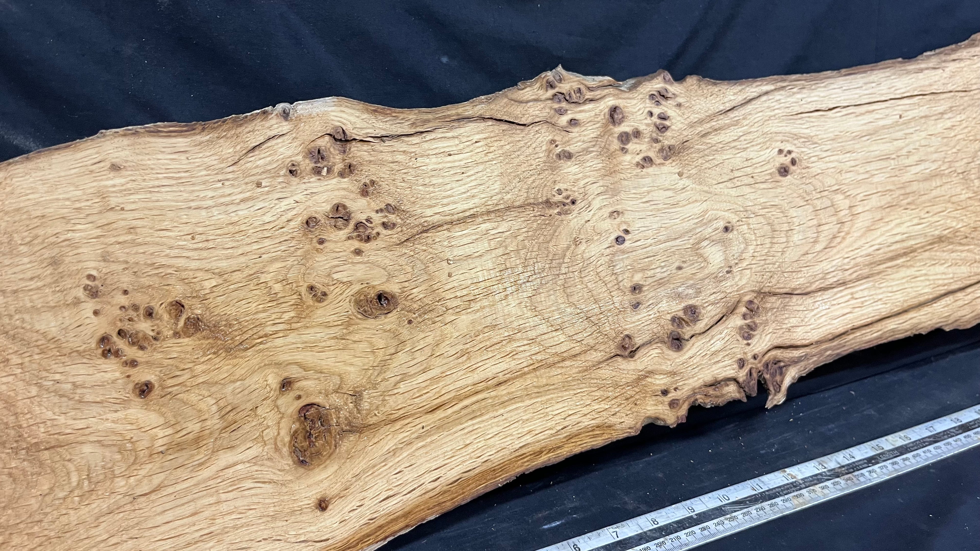 Solid oak plank,floating shelf, board 1280 L x 325 W x 32 D mm      (455mt)