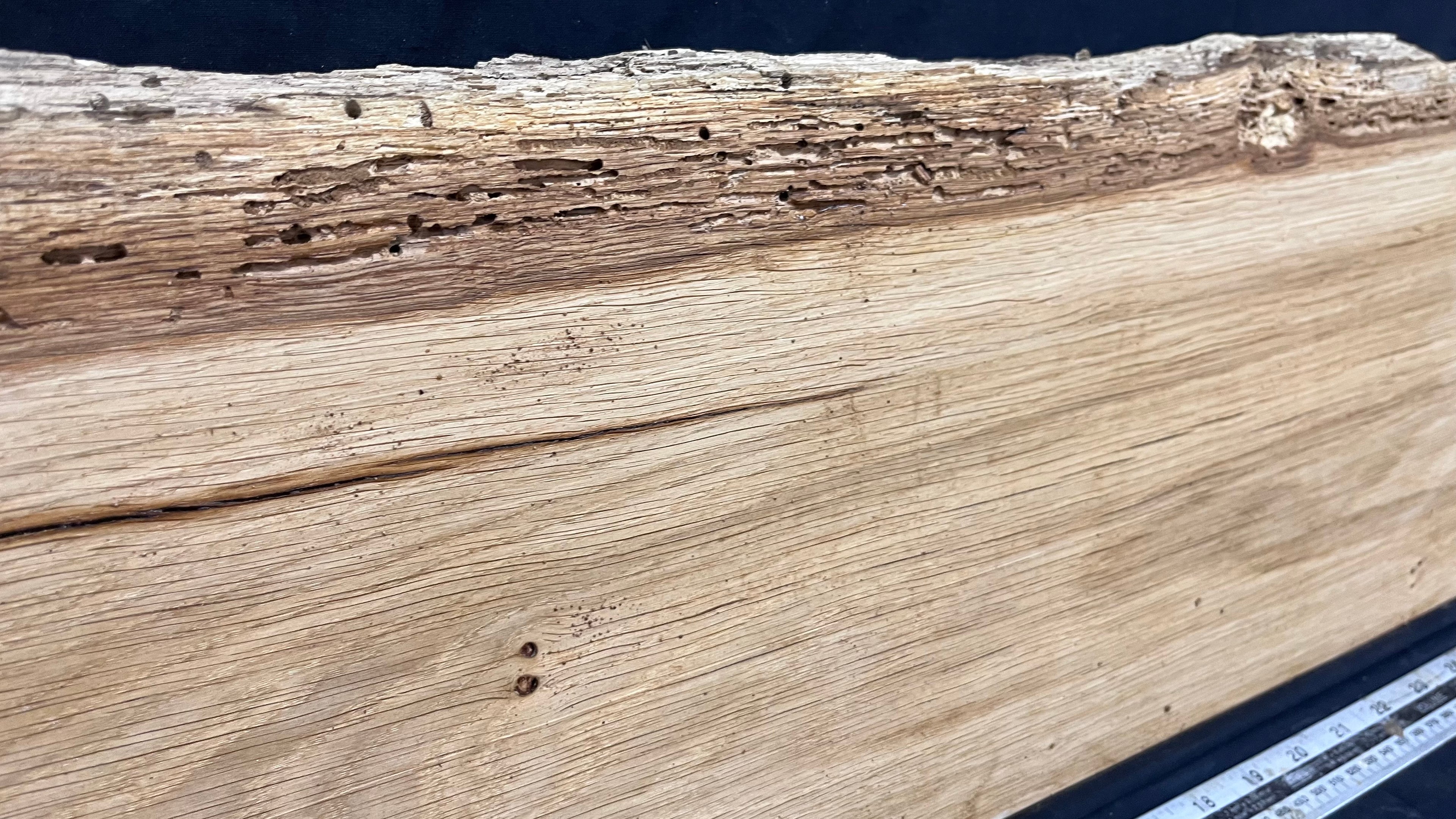 Oak hardwood, floating shelf, 1510 L x 260 W x 32 D mm      (463mt)