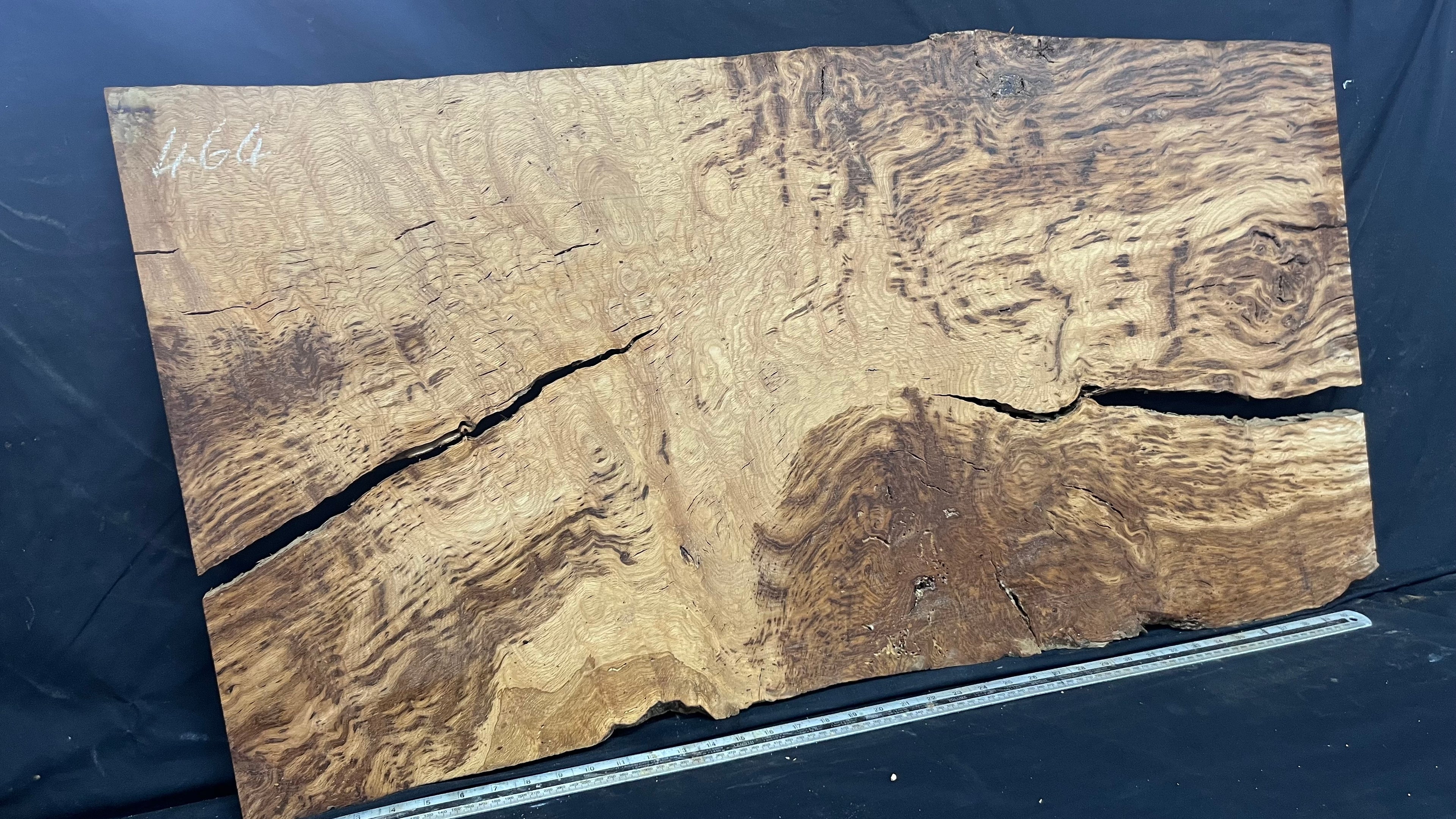 Tiger oak hardwood, feature wood, wall hanging 1087 L x 567 W x 18 D mm      (464mt)