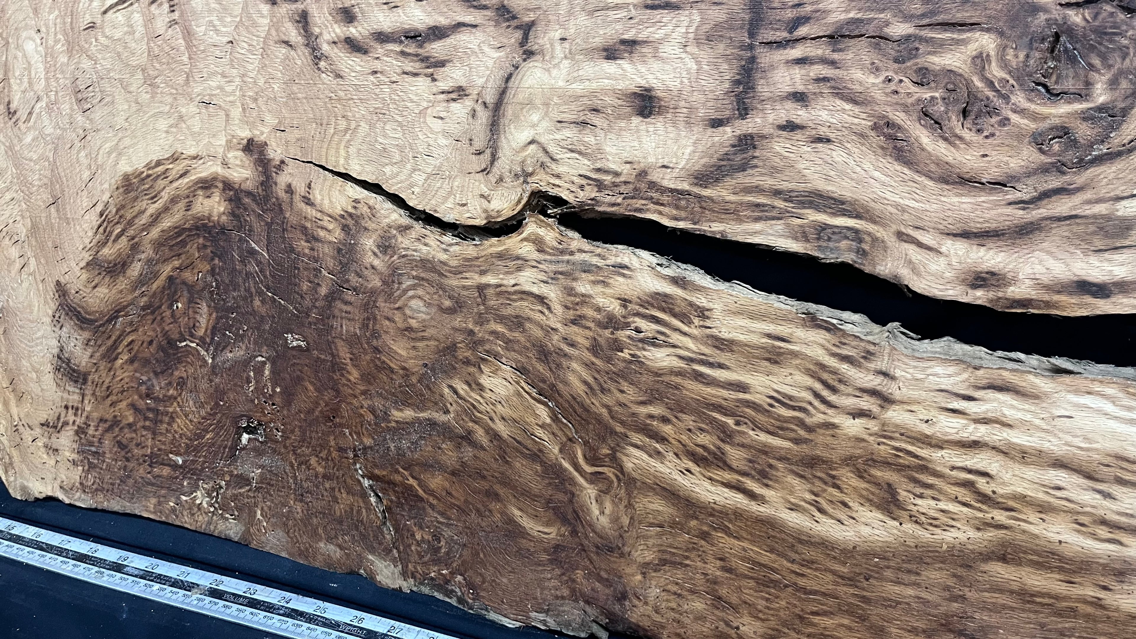 Tiger oak hardwood, feature wood, wall hanging 1087 L x 567 W x 18 D mm      (464mt)