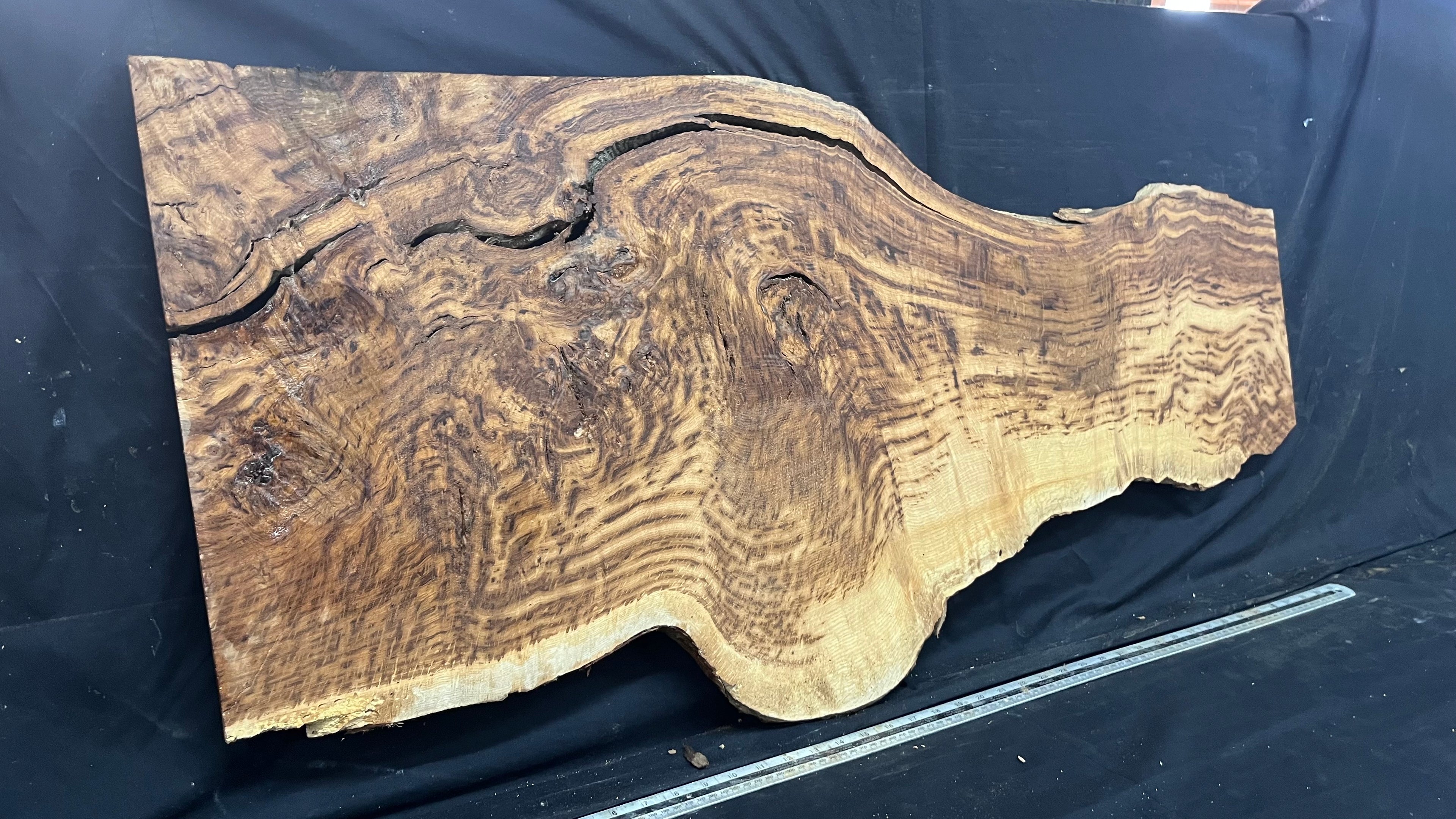 Tiger oak, feature wood, wall hanging 1114 L x 546 W x 15 D mm      (465mt)