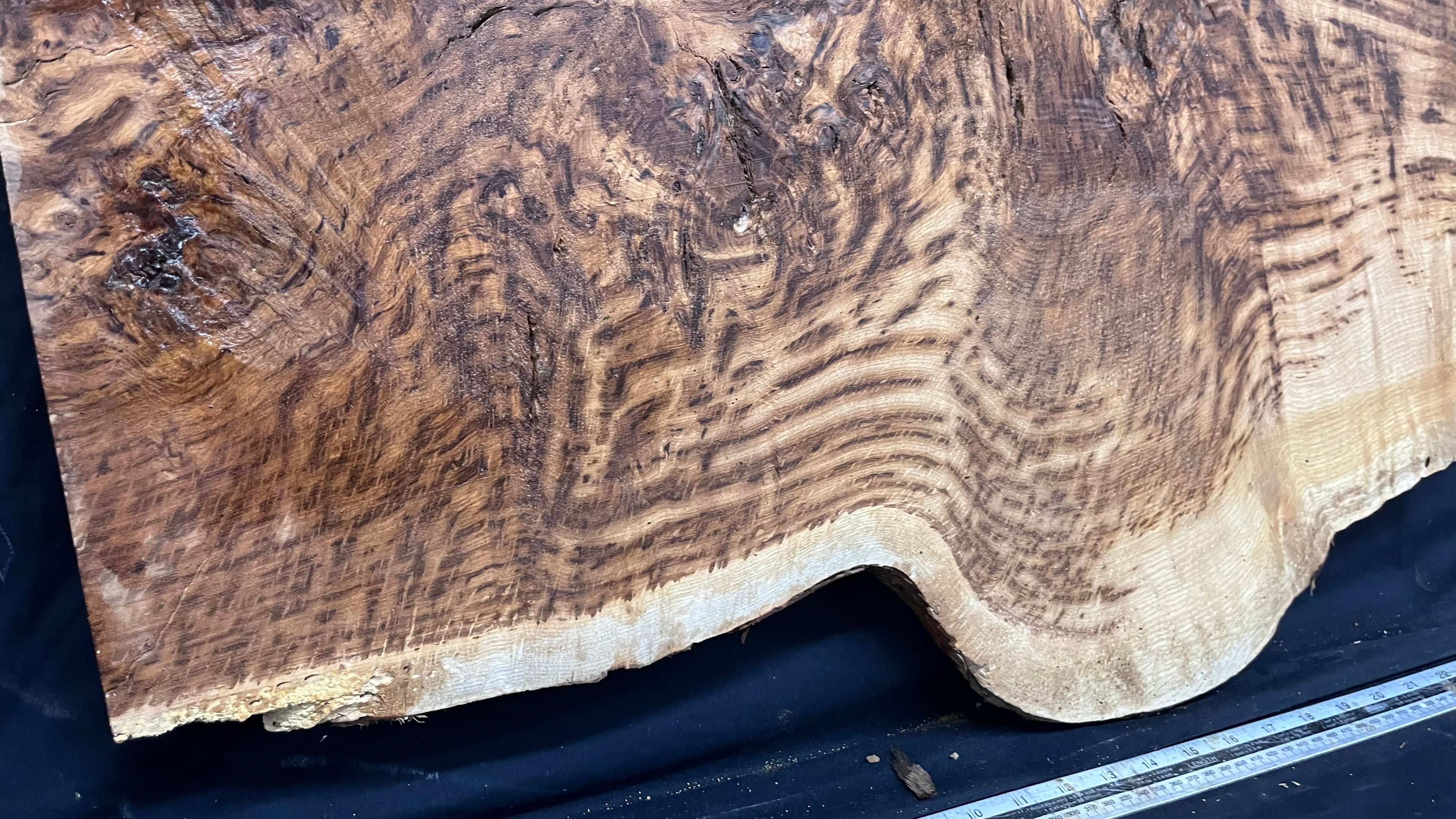 Tiger oak, feature wood, wall hanging 1114 L x 546 W x 15 D mm      (465mt)