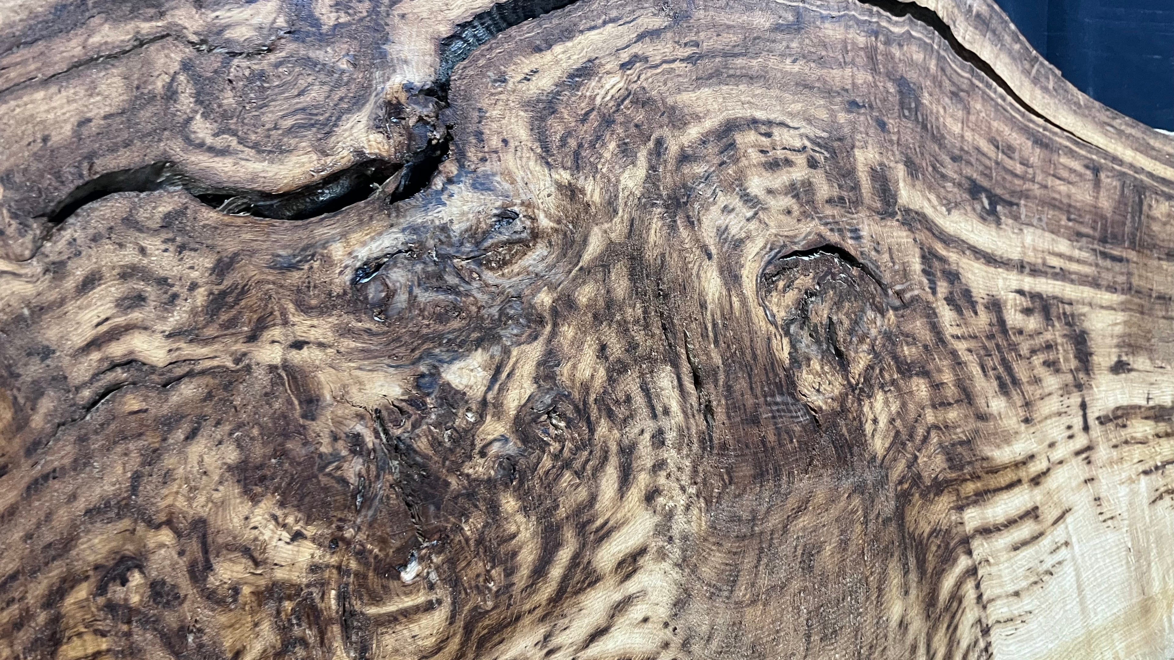 Tiger oak, feature wood, wall hanging 1114 L x 546 W x 15 D mm      (465mt)