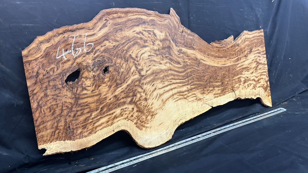 Tiger oak, tone wood, feature wood, wall hanging 1034 L x 473 W x 9 D mm      (466mt)