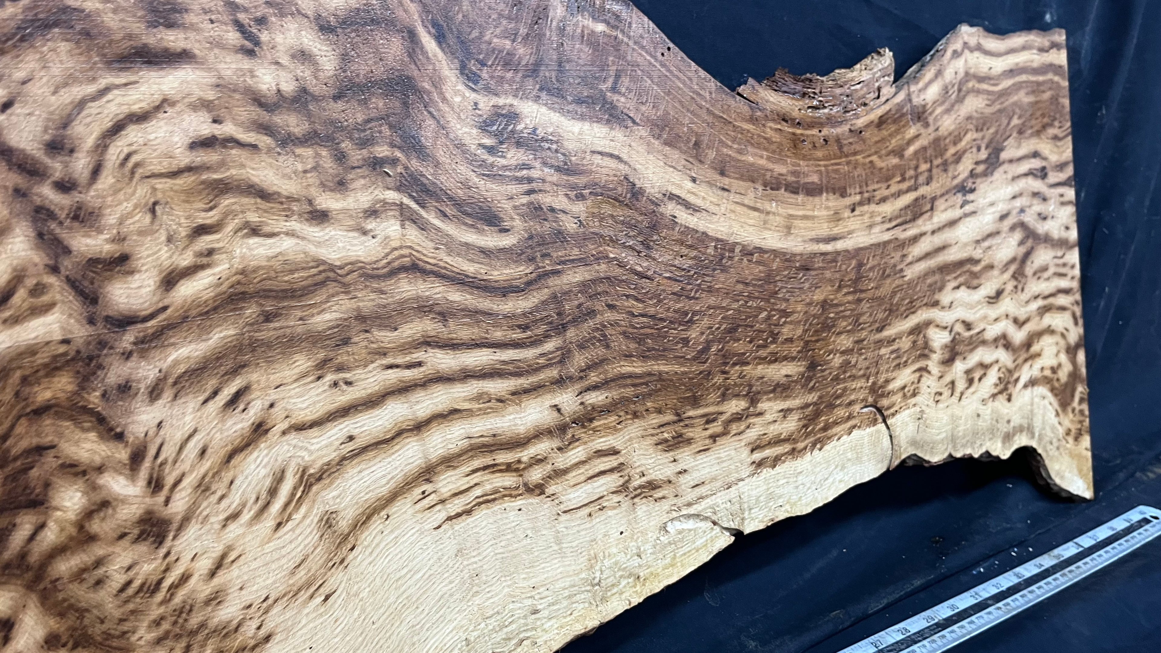 Tiger oak, tone wood, feature wood, wall hanging 1034 L x 473 W x 9 D mm      (466mt)