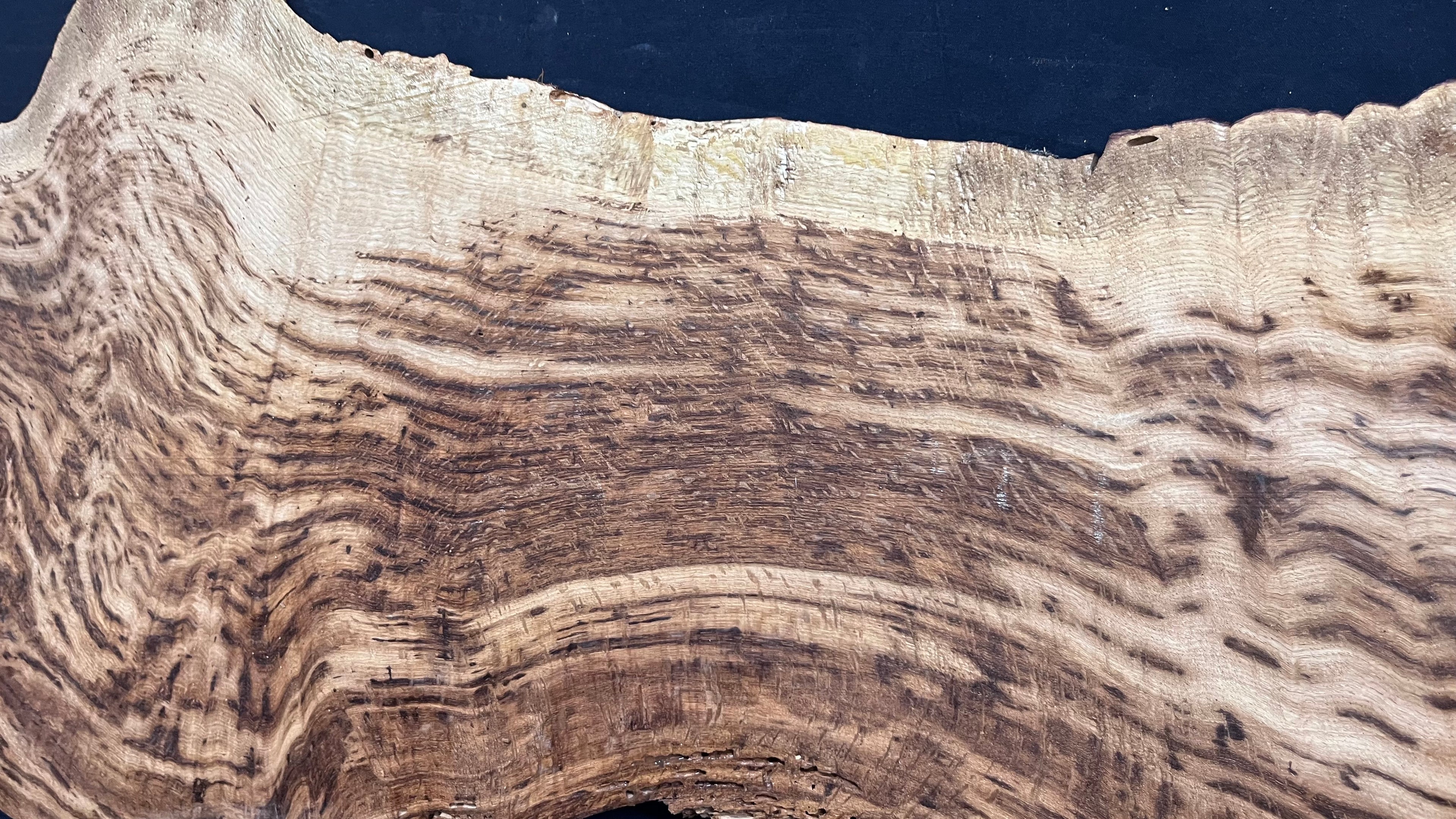 Tiger oak, tone wood, feature wood, wall hanging 1034 L x 473 W x 9 D mm      (466mt)
