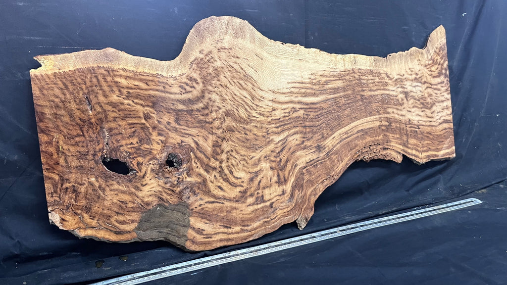 Tiger oak, tone wood, feature wood, wall hanging 1034 L x 473 W x 9 D mm      (466mt)