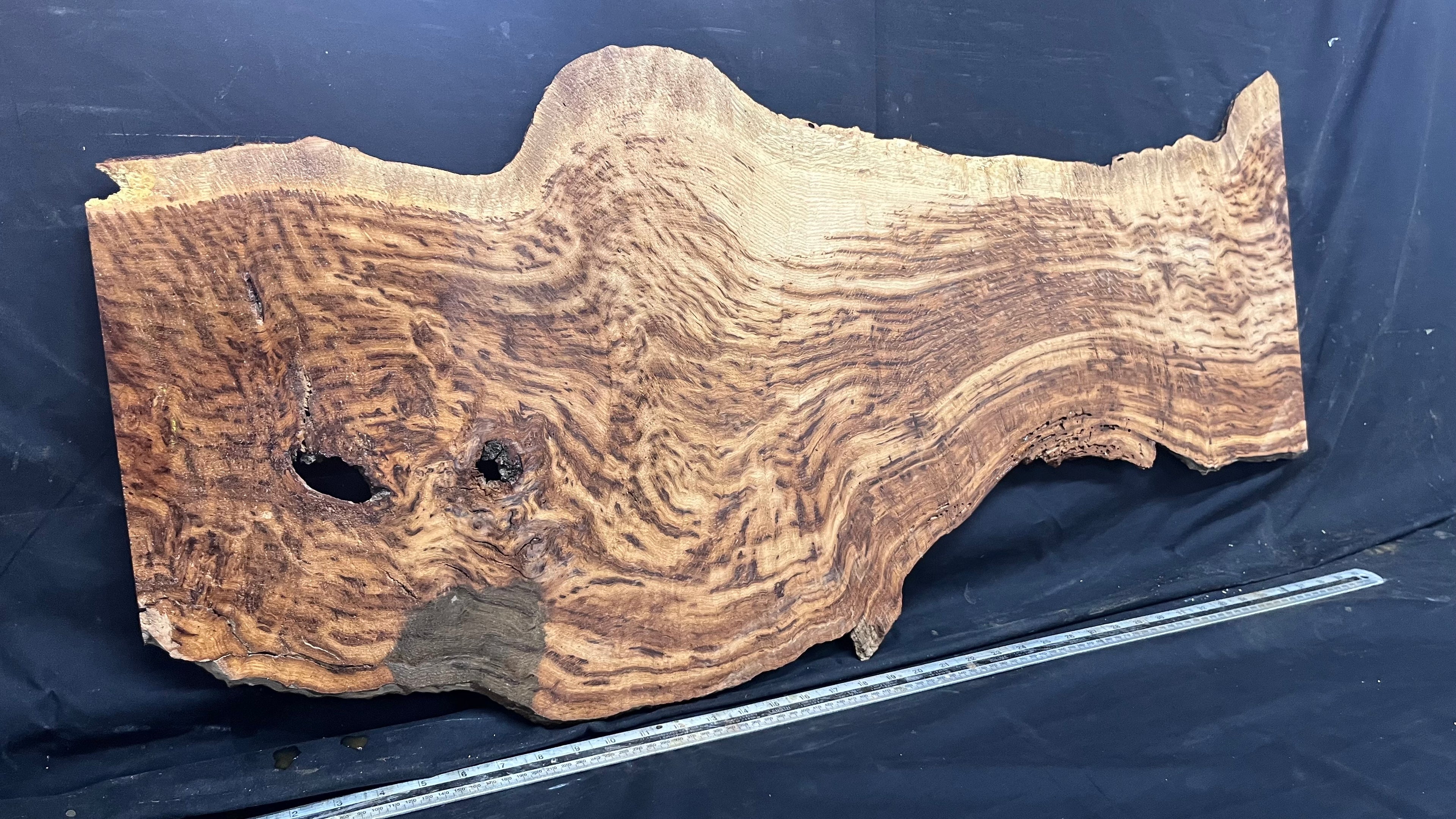 Tiger oak, tone wood, feature wood, wall hanging 1034 L x 473 W x 9 D mm      (466mt)
