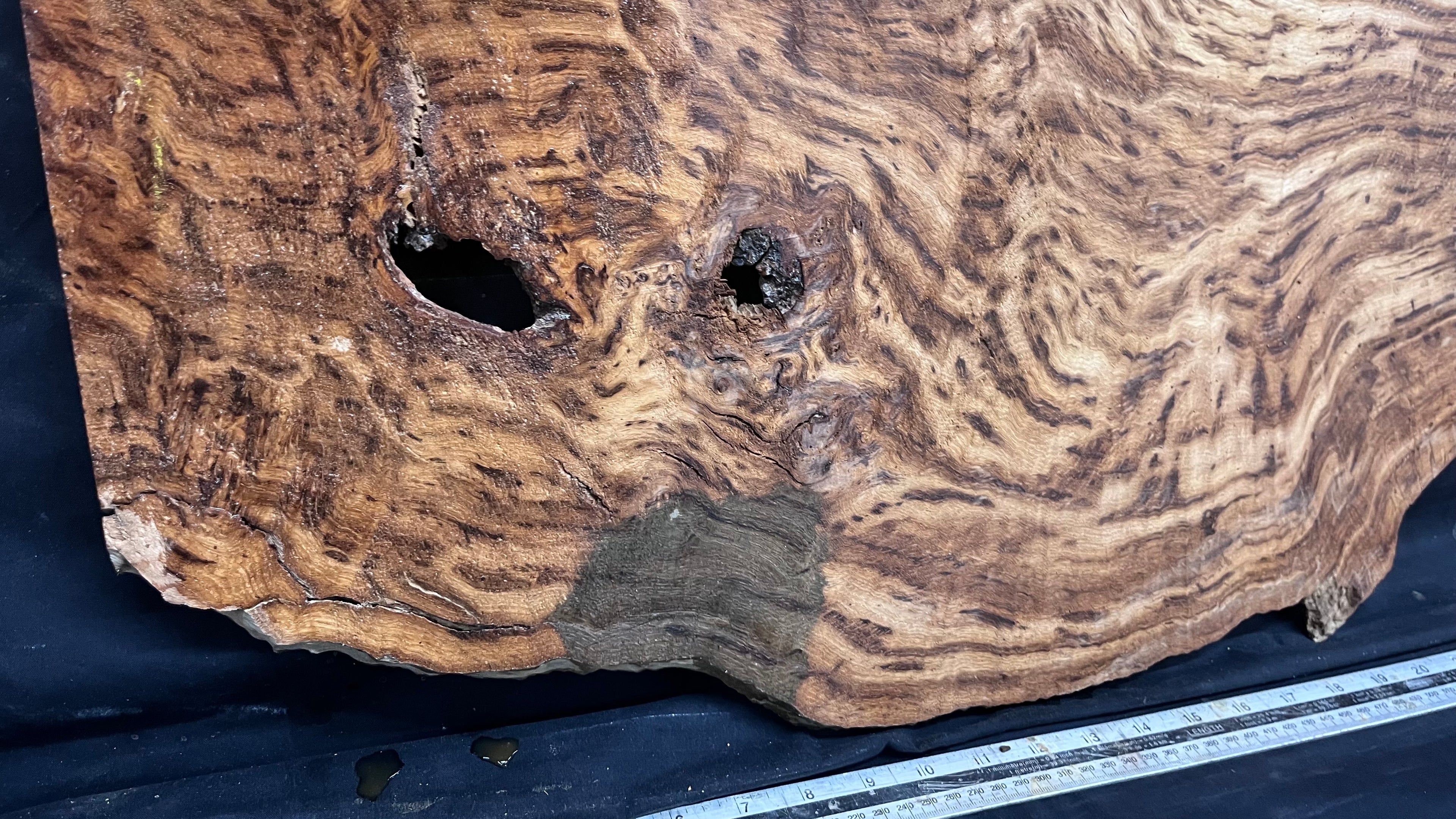 Tiger oak, tone wood, feature wood, wall hanging 1034 L x 473 W x 9 D mm      (466mt)
