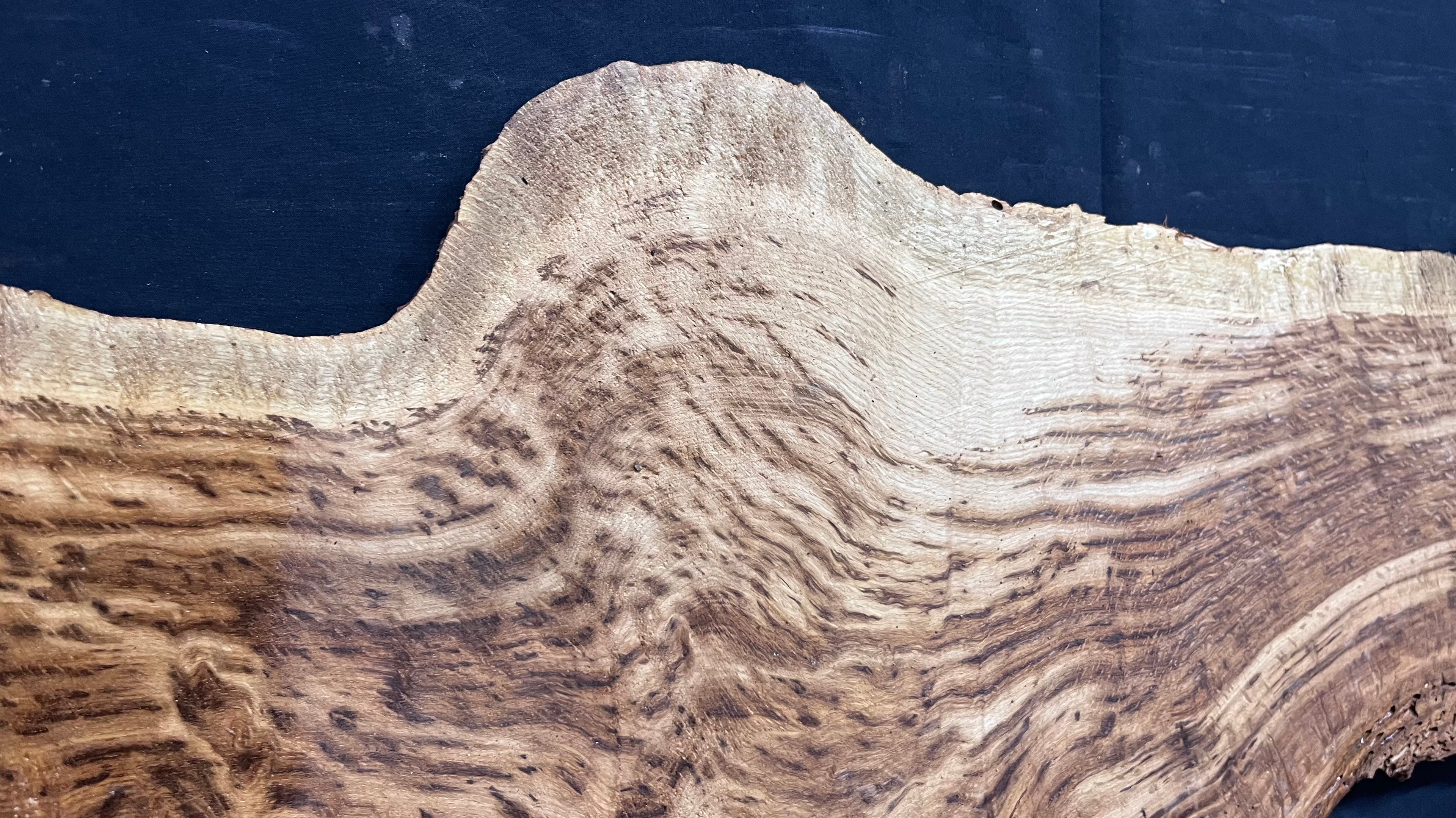 Tiger oak, tone wood, feature wood, wall hanging 1034 L x 473 W x 9 D mm      (466mt)