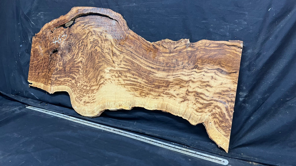 Tiger oak, tone wood, feature wood, wall hanging 1089 L x 524 W x 9 D mm      (467mt)