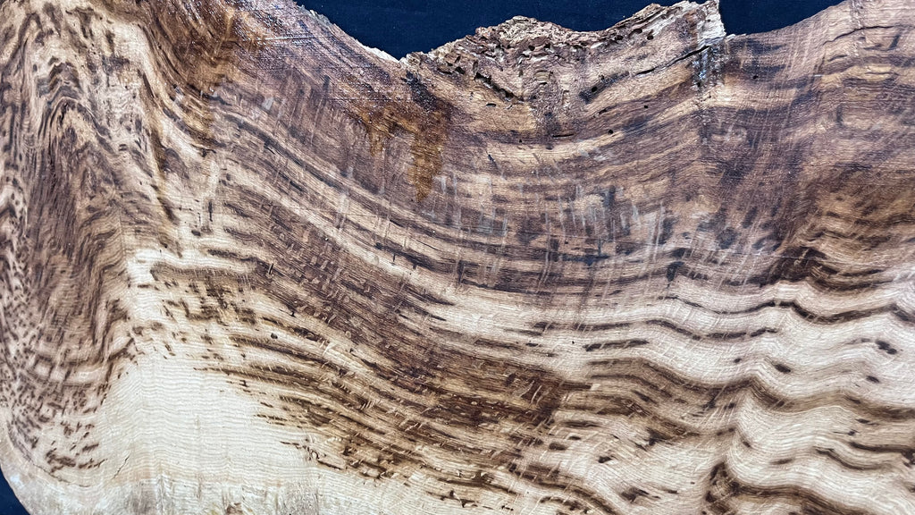 Tiger oak, tone wood, feature wood, wall hanging 1089 L x 524 W x 9 D mm      (467mt)