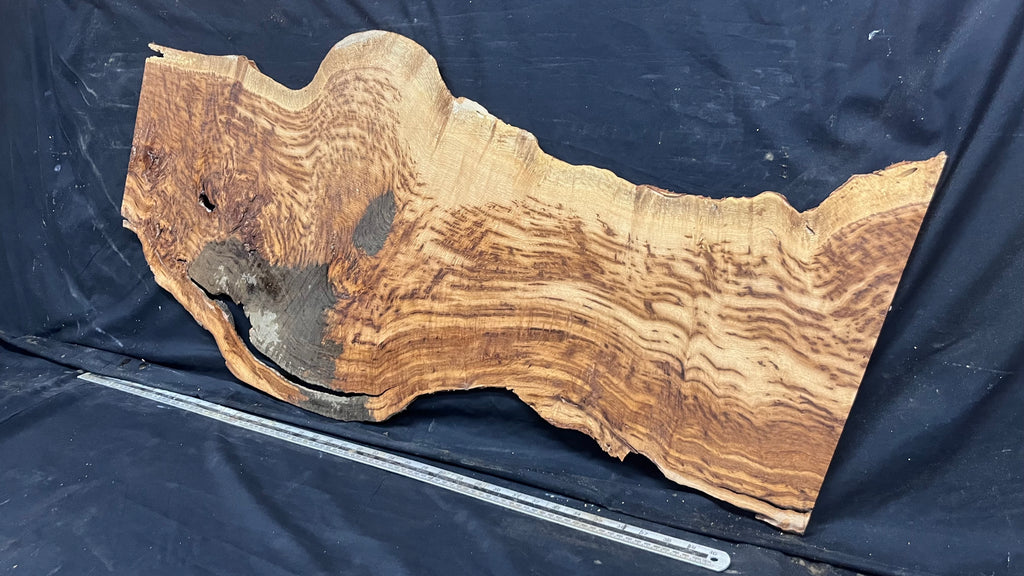 Tiger oak, tone wood, feature wood, wall hanging 1089 L x 524 W x 9 D mm      (467mt)