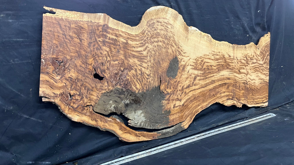 Tiger oak, tone wood, feature wood, wall hanging 1089 L x 524 W x 9 D mm      (467mt)