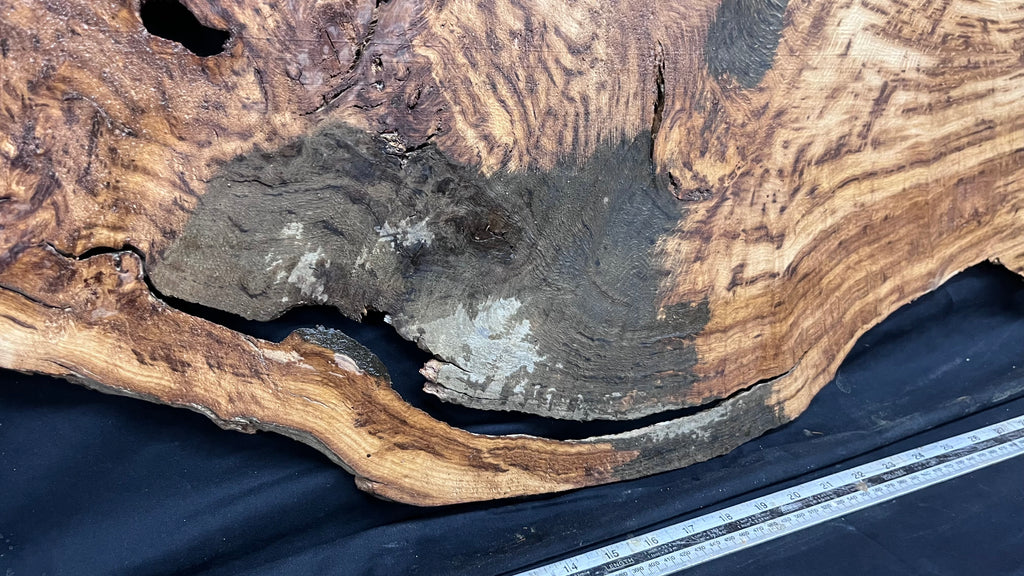 Tiger oak, tone wood, feature wood, wall hanging 1089 L x 524 W x 9 D mm      (467mt)