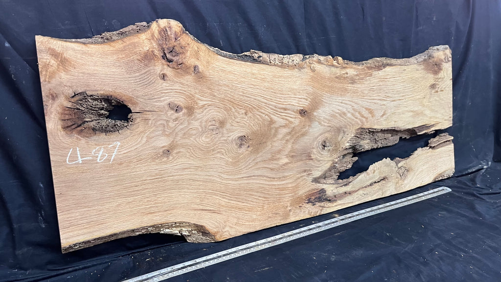 Oak resin coffee table blank 1197 L x 485 W x 25 D mm      (487mt)