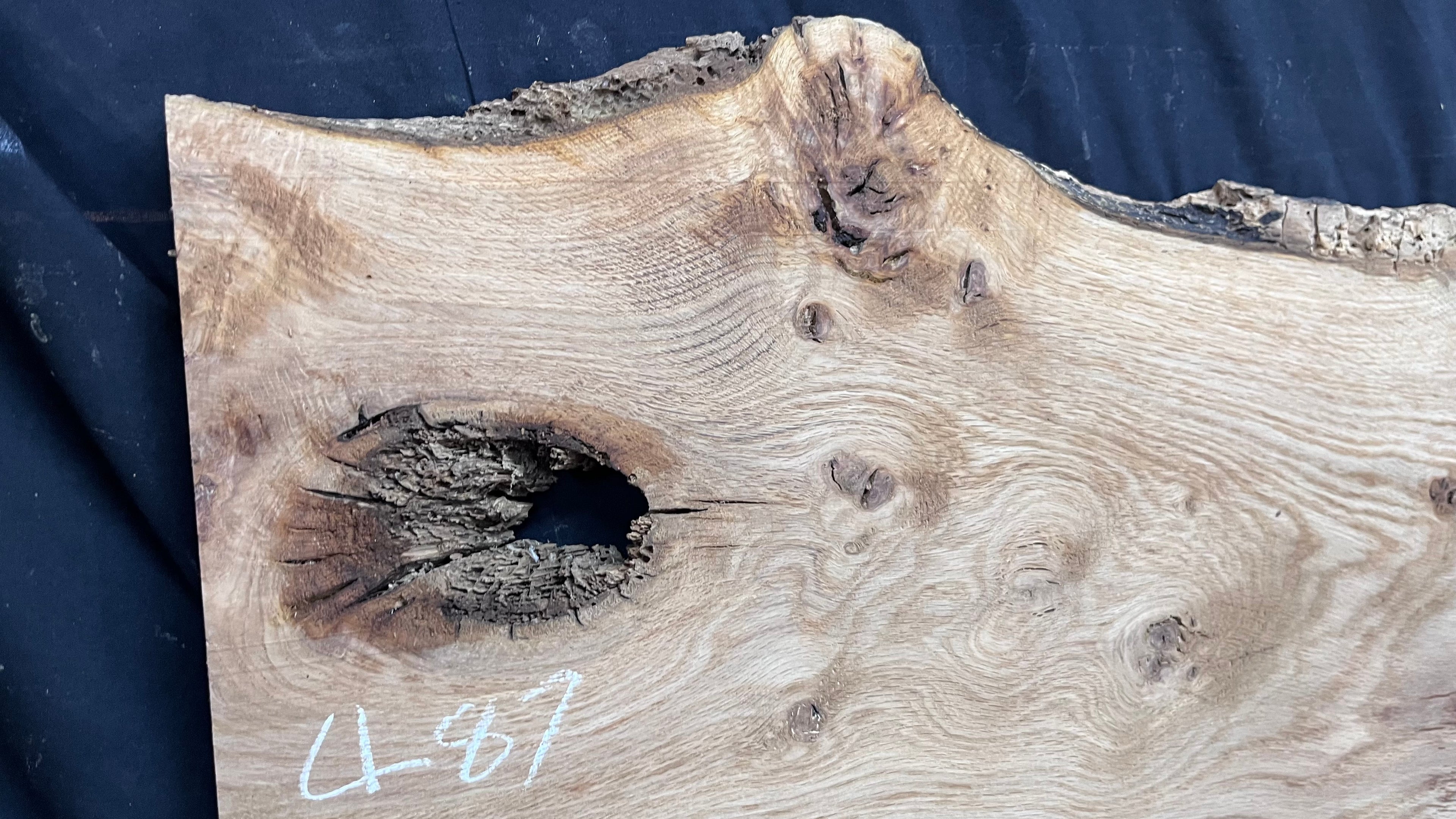 Oak resin coffee table blank 1197 L x 485 W x 25 D mm      (487mt)