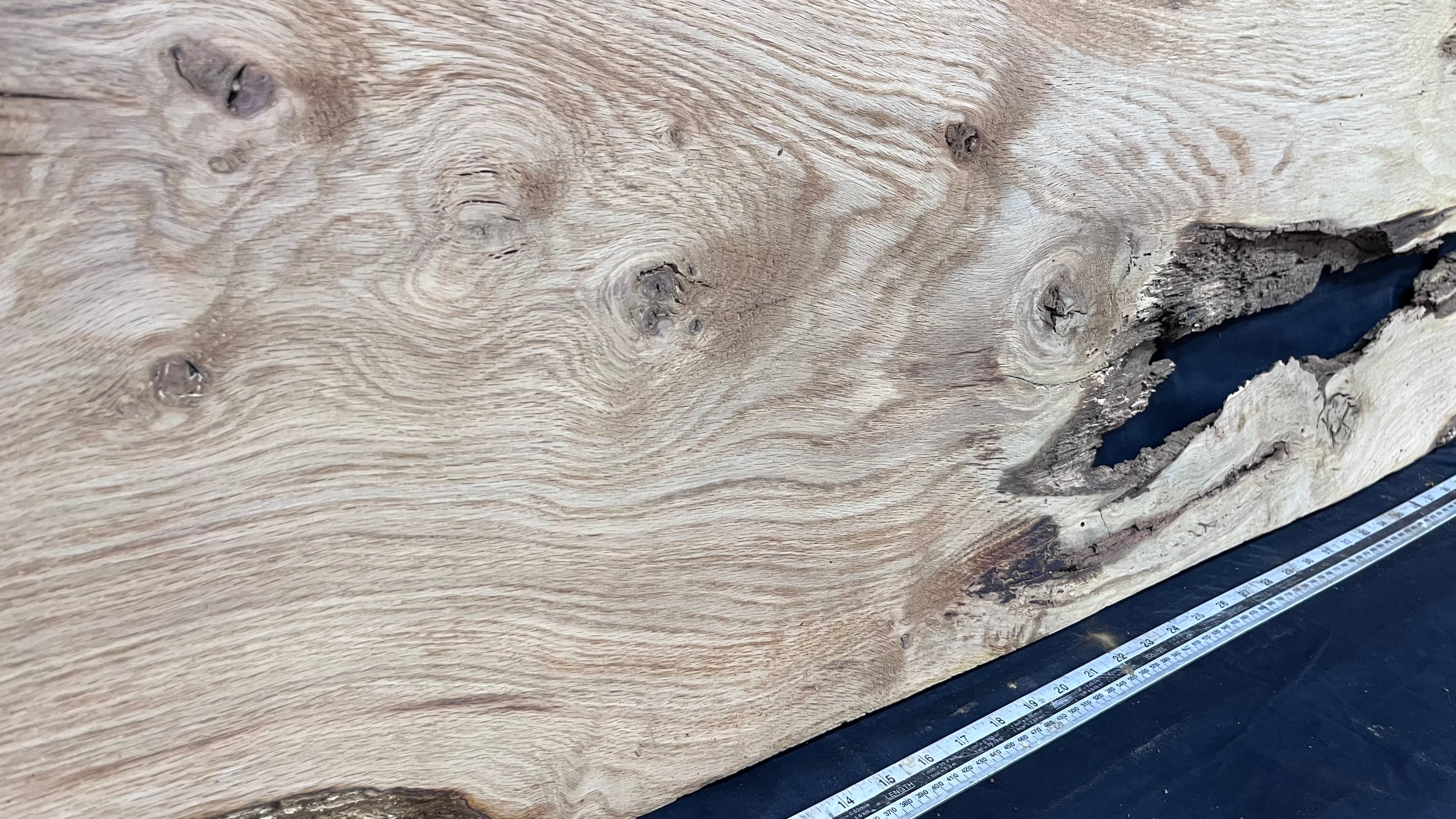 Oak resin coffee table blank 1197 L x 485 W x 25 D mm      (487mt)