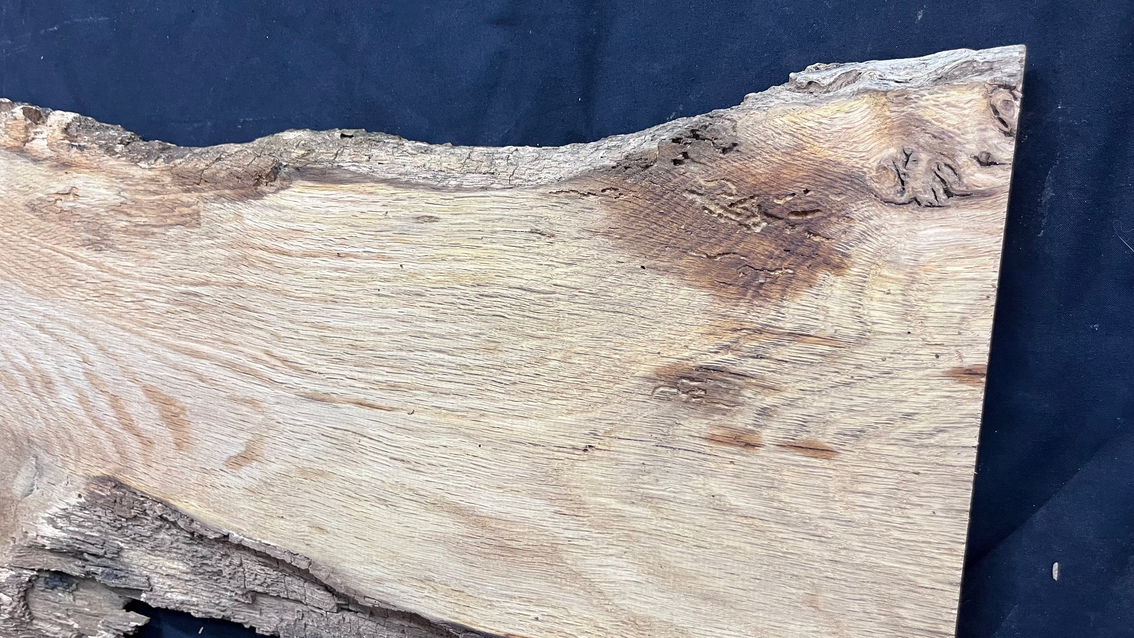 Oak resin coffee table blank 1197 L x 485 W x 25 D mm      (487mt)