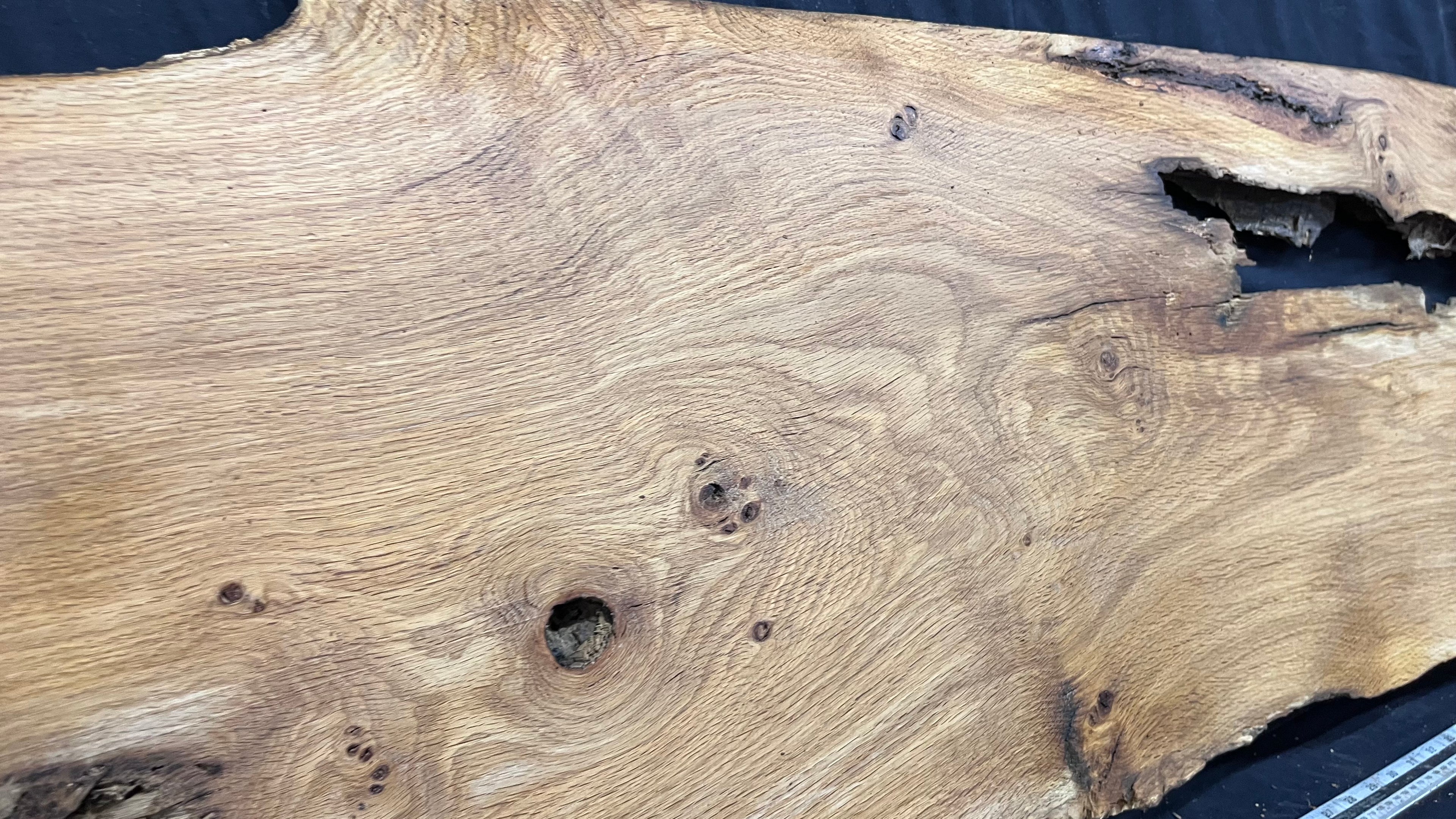 Oak resin coffee table blank 1197 L x 485 W x 25 D mm      (487mt)