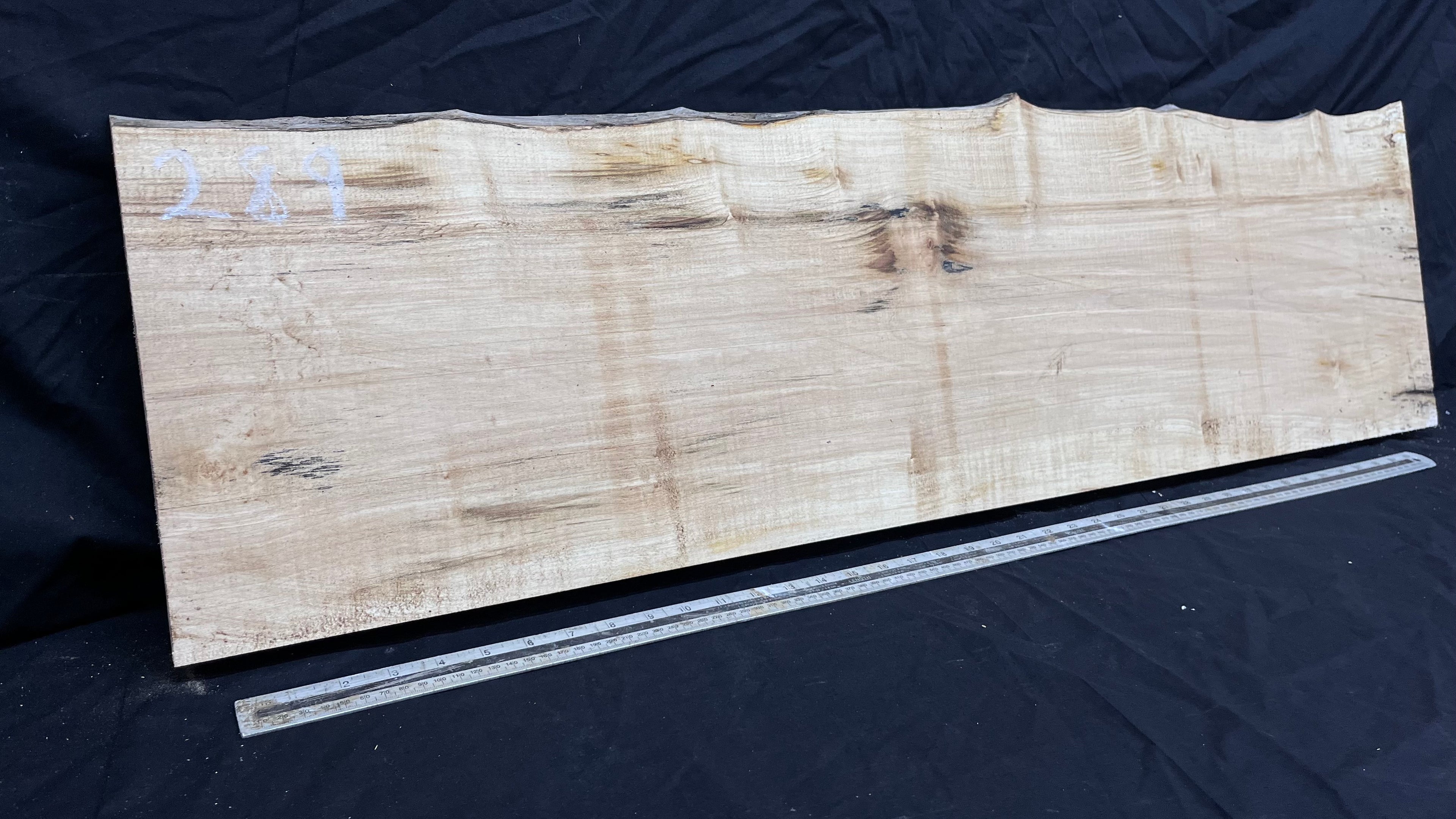 Sycamore plank, shelf, craft wood 1125 L x 315 W x 40 D mm  (289)