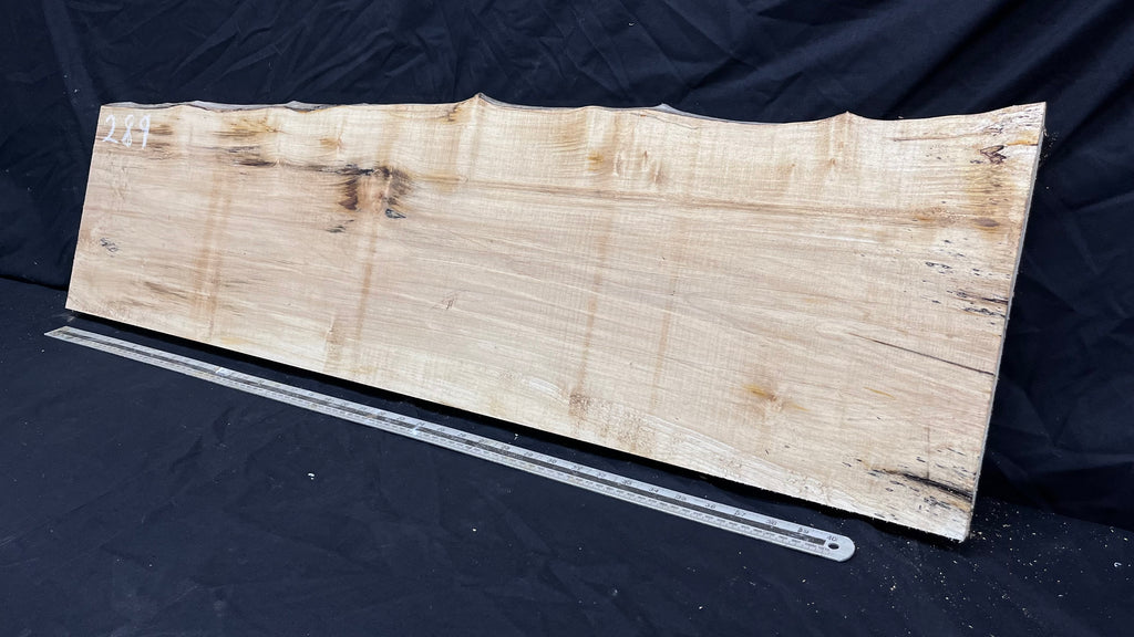 Sycamore plank, shelf, craft wood 1125 L x 315 W x 40 D mm  (289)