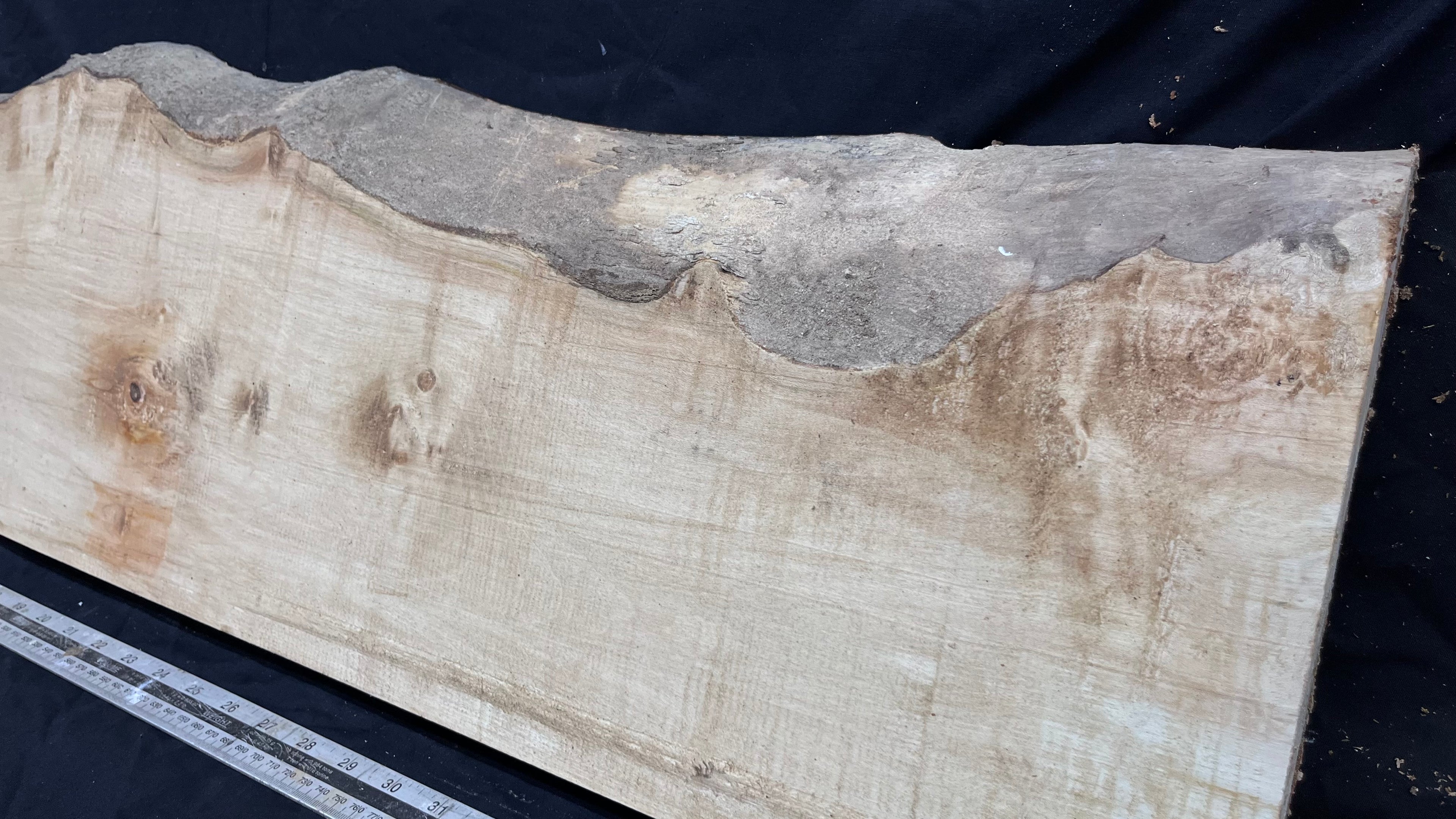 Sycamore plank, shelf, craft wood 1138 L x 288 W x 40 D mm  (293)